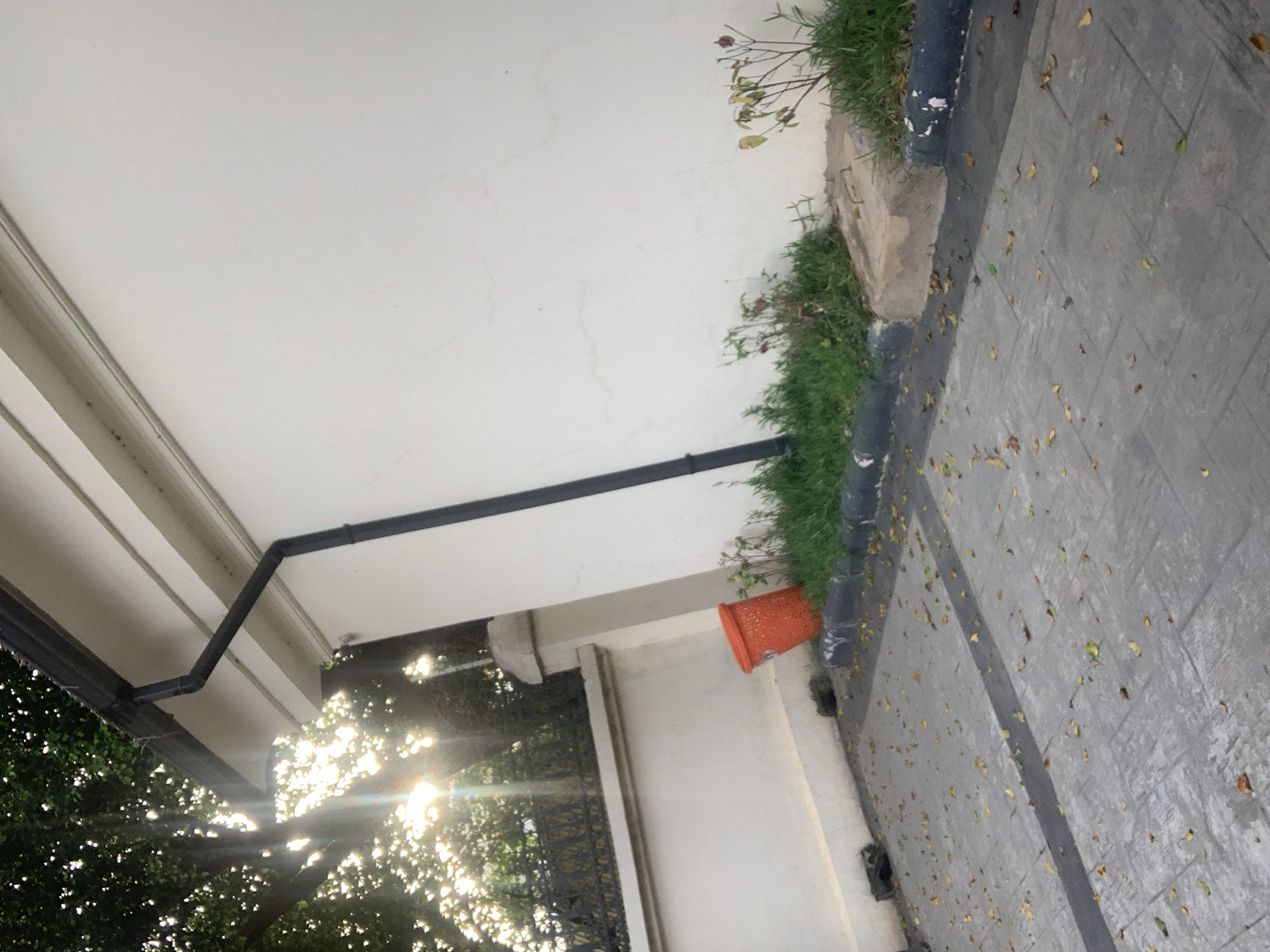 The image shows an exterior scene, likely in Abuja, Nigeria, with a tiled driveway covered in fallen leaves. A white wall is prominent, with a black gutter system running along the top. Sunlight filters through the leaves of a large tree on the left, casting a lens flare effect. In the middle ground, an orange plastic trash can sits beside a patch of grass, which is bordered by a concrete curb. Small, sparse plants are visible in the grass. A decorative metal fence is also visible behind the tree. The overall impression is one of a residential or commercial property with some seasonal debris.
