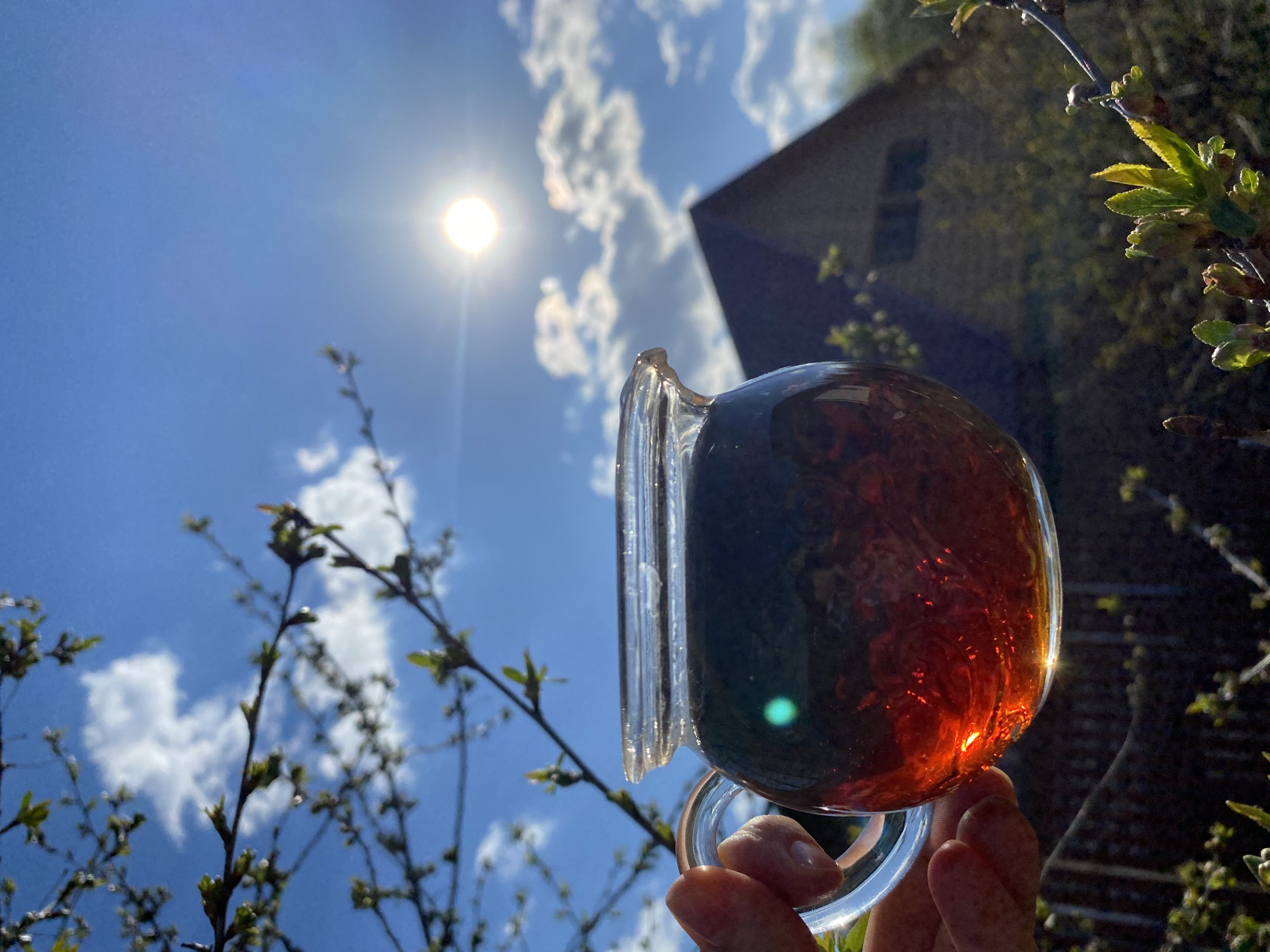 An outdoor scene depicts a person holding a glass mug containing a dark liquid against a bright sky with scattered clouds and a visible sun. The liquid inside appears to be reddish-brown and translucent. The mug is clear glass, showcasing the liquid's color. The person's hand is visible holding the mug by the handle. In the background, there is a blurred house structure and some greenery, possibly trees or shrubs. The foliage suggests a natural setting. The location is not discernible from the visual data.