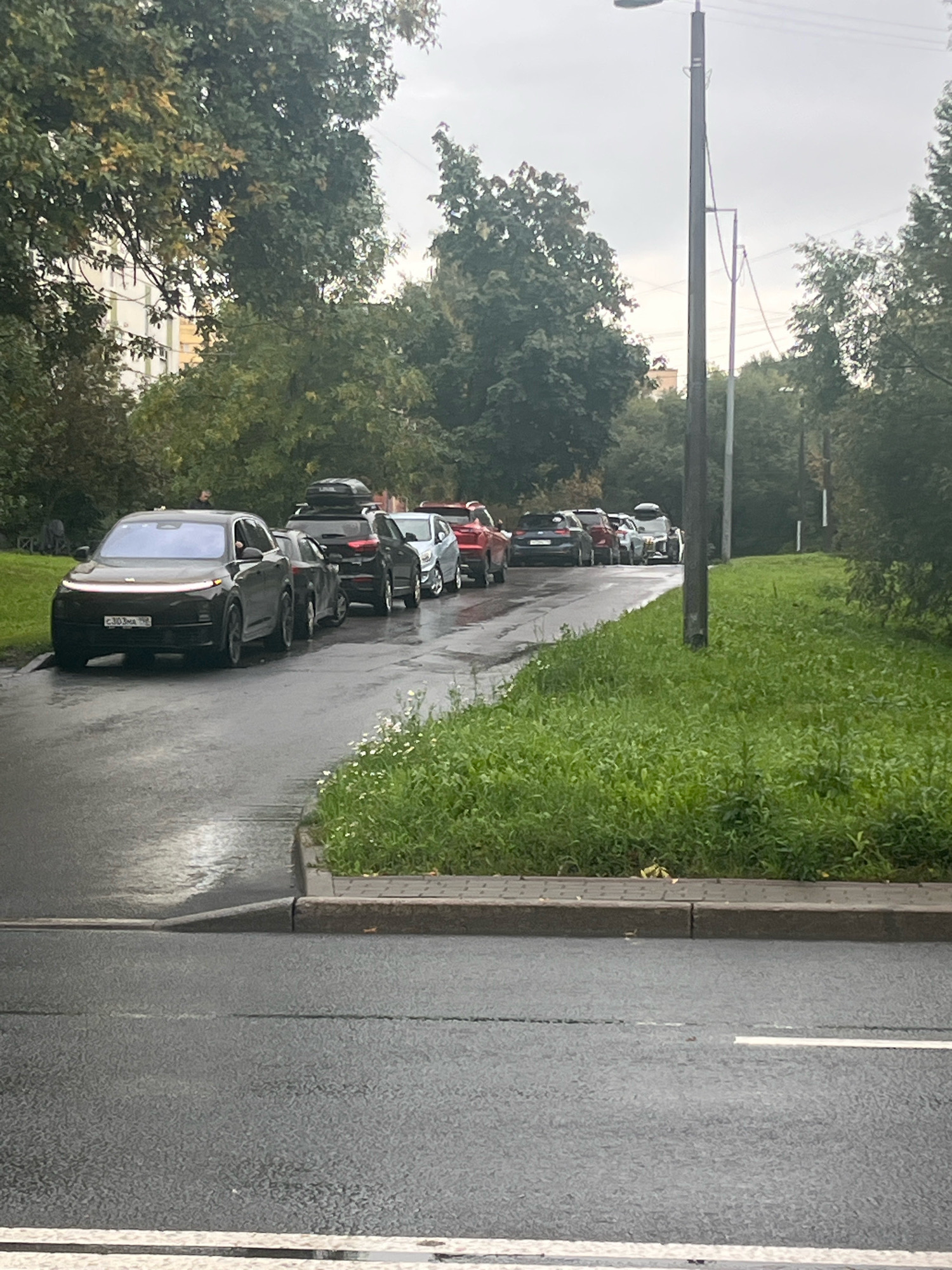A line of vehicles is parked on the side of a wet asphalt road in Saint Petersburg, Russia. The cars are lined up, suggesting a traffic jam or a parking area. In the background, lush green trees and a tall apartment building can be seen. The sky is overcast, contributing to the damp appearance of the scene. A streetlamp stands tall on the right side of the image, and a patch of grass with small white flowers borders the road. The foreground shows the wet road with white lines marking the lanes.