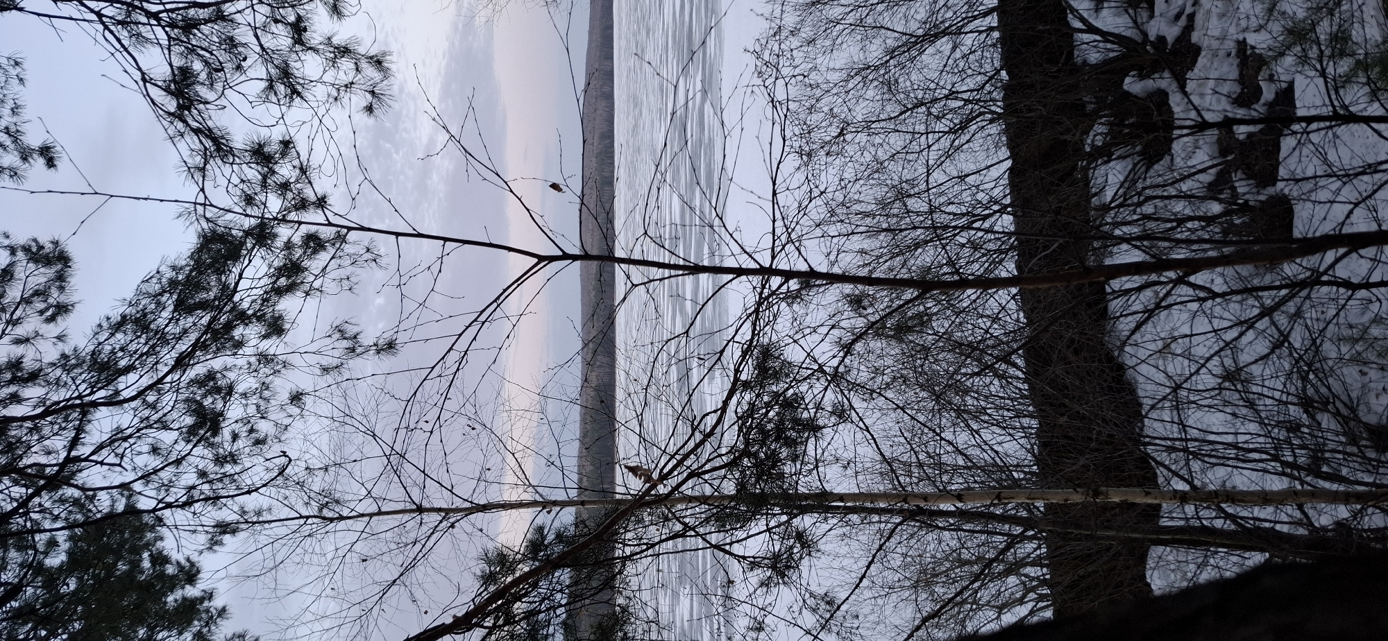 The image shows a winter landscape in Chaikovsky, Russia. The scene is viewed through bare tree branches and pine needles, suggesting a forest or park setting. In the background, there is a large body of water, possibly a lake or river, with ice forming on the surface. The sky is overcast. Snow may be present.