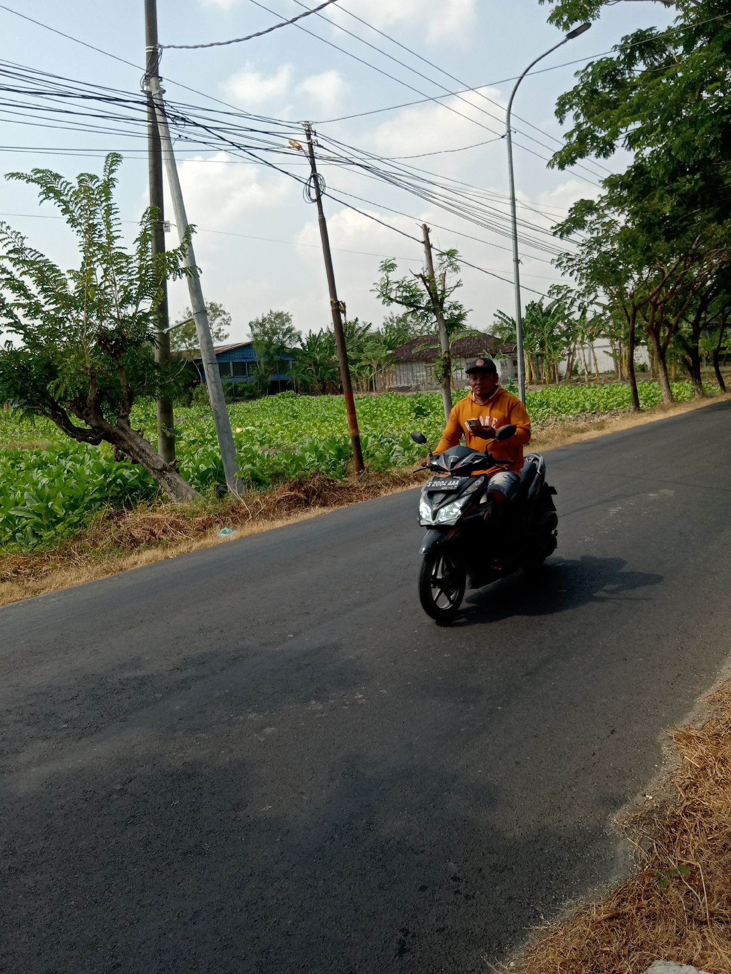A man wearing an orange hoodie and a black baseball cap is riding a black scooter on a paved road in a rural area. He is holding a mobile phone in his right hand. The road is asphalt, and there is dry, light brown grass along the right side. On the left side of the road, there is a large field of green plants, likely tobacco, with a gnarled tree in the foreground. In the background, there are more trees, some houses with blue roofs, and a network of utility poles and wires stretching across the sky. The sky is bright with scattered clouds. The scene appears to be in Sugihwaras, Indonesia.