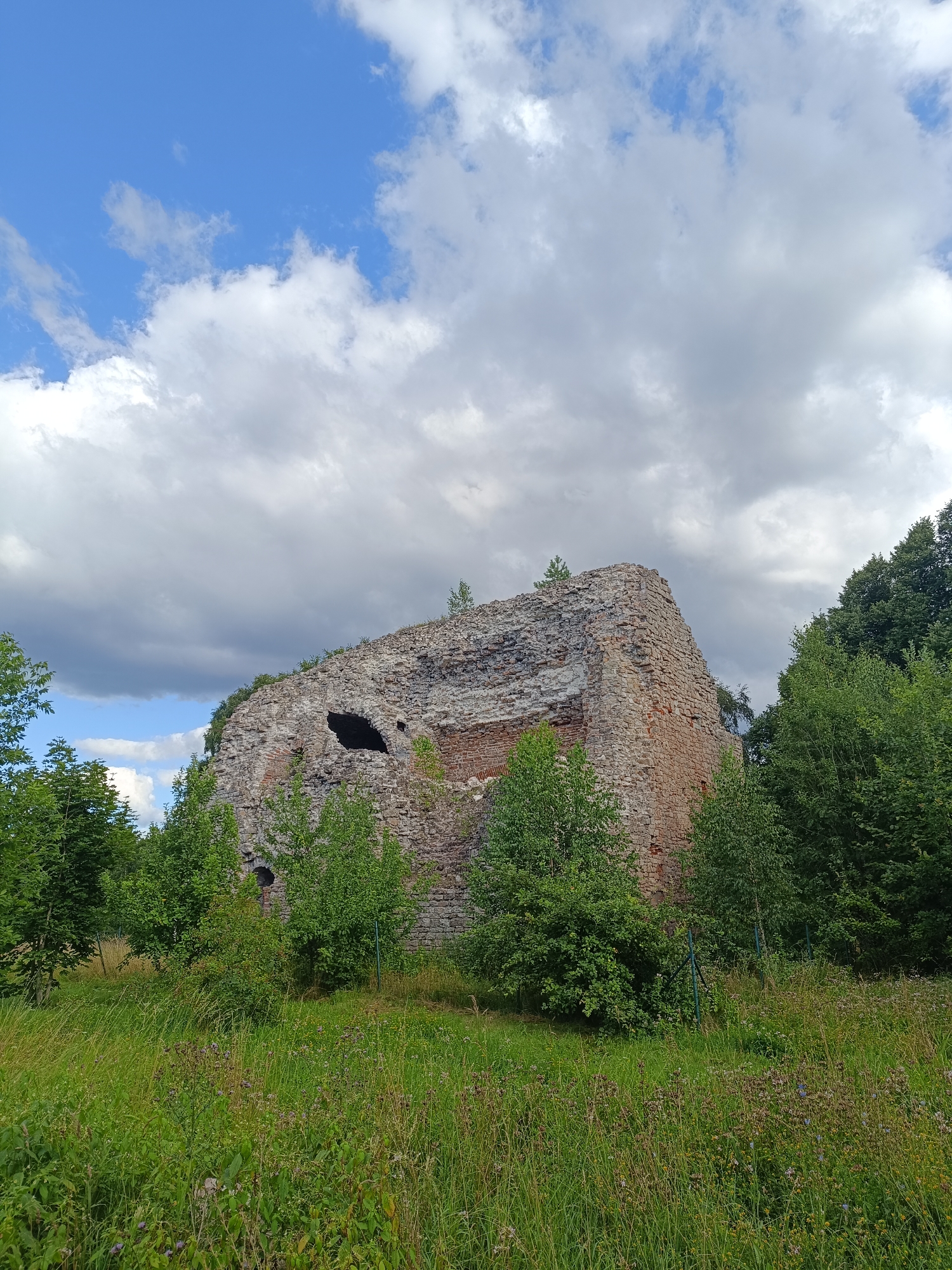 An outdoor, full shot captures the ruins of a stone structure overgrown with greenery under a partly cloudy sky. The structure, made of rough, weathered stones and some exposed brick, dominates the center of the frame. Its walls are irregular and crumbling, with large arched openings or voids. Lush green trees surround the ruins, with some foliage growing directly on the stone. The foreground is a field of tall, wild grass and wildflowers. A thin metal fence is visible in the lower right portion of the image. The sky above is a mix of bright blue patches and large, puffy white and gray clouds.