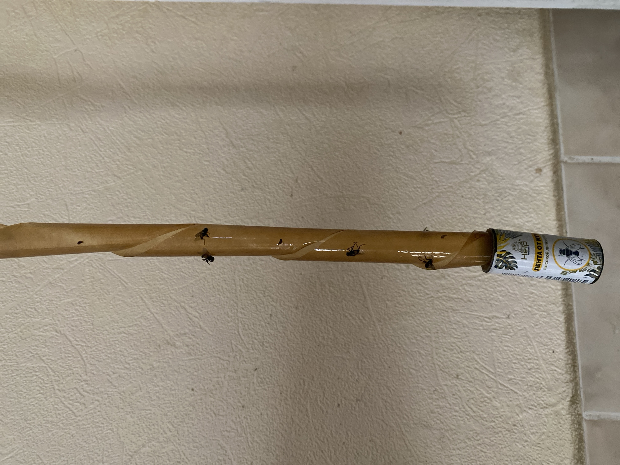A close-up, slightly angled shot depicts a sticky fly trap hanging against a textured, cream-colored wall. The fly trap is a coiled, translucent yellow paper strip wrapped around a central core. Several dead flies are adhered to the sticky surface of the trap at various points along its length. The bottom portion of the trap features a printed label with Cyrillic text and an illustration of a fly. The wall has a subtle, repeating pattern of raised lines. A portion of a light-colored tiled surface is visible at the bottom of the frame. The overall environment suggests an indoor setting, possibly a residential area in Sokhumi, Abkhazia.