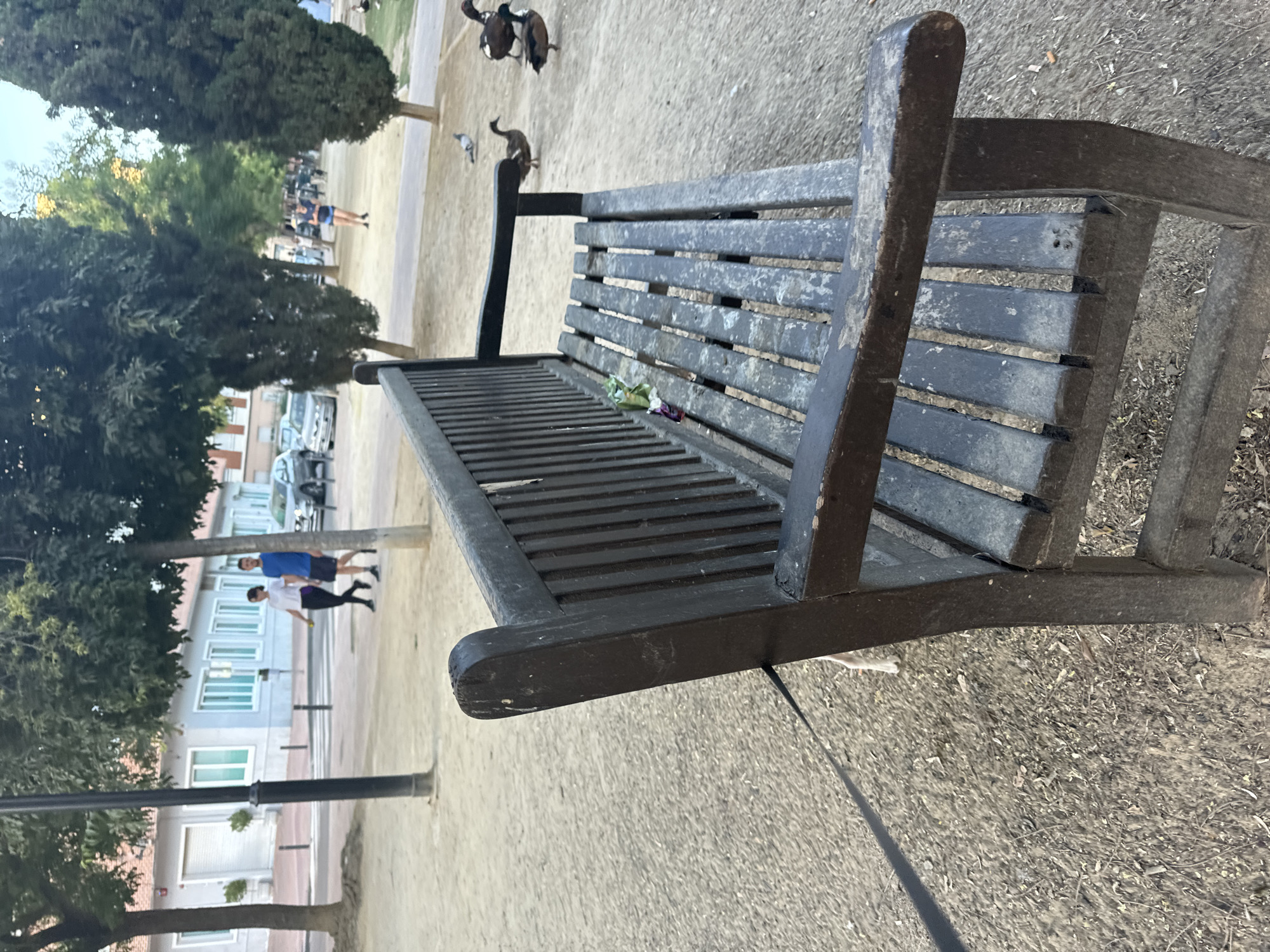 A dark wooden park bench is positioned in the foreground, facing left, on a gravelly surface in a park. A leash is attached to the bench and extends out of frame to the left. On the bench seat, near the left armrest, are some green leafy materials and a discarded wrapper. In the background, to the right of the bench, there are several ducks on the ground. Further in the background, there are trees and a pathway. Across the pathway, on the other side of the park, two people are walking, and a silver car is parked. Behind them, there is a light-colored building with windows. The scene appears to be an outdoor public space in the city of Murcia, Spain, likely a park or plaza.