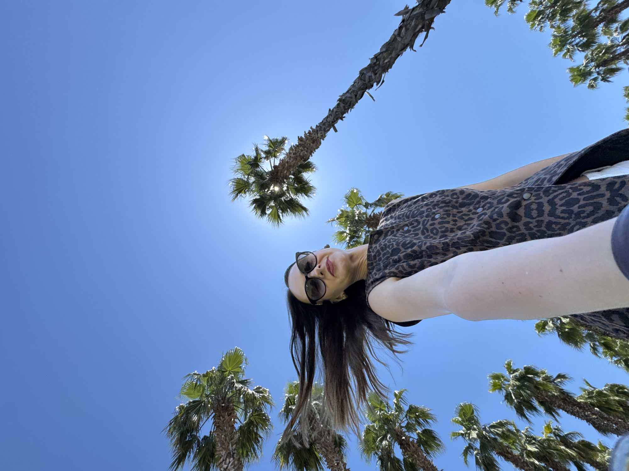 A low-angle, wide-shot selfie shows a woman in a leopard-print sleeveless dress and sunglasses against a clear blue sky, with multiple palm trees silhouetted around her. The sun is visible behind a palm tree in the upper right quadrant. Her dark hair is blowing to her left, suggesting a windy day. The woman's right arm is extended, holding the camera. The scene appears to be outdoors in a sunny climate, possibly a park or a street lined with palm trees. The image does not provide enough information to determine its specific location within Sirius, Russia.