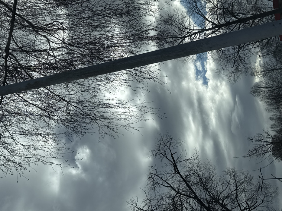 The image depicts a sky view above Oberhausbergen, France, dominated by an overcast grey cloudscape. Sunlight diffuses through and behind the clouds, creating brighter patches, with a distinct section of clear blue sky visible in the lower right quadrant. Numerous deciduous trees, bare of leaves, are silhouetted against the sky, suggesting a winter or early spring setting. A tree with fine, drooping branches occupies the upper right and central portions of the frame. A grey, possibly metallic, utility pole or lamppost extends diagonally from the mid-right towards the bottom center. A smaller, dark street lamp post is partially visible in the lower left. No individuals, animals, or specific actions are discernible.