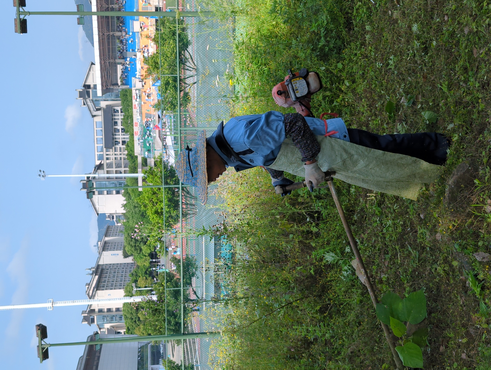An outdoor scene in Jiangjin, China, depicts a worker engaged in grounds maintenance next to a sports complex. The primary subject is a person, likely male, dressed in a blue long-sleeved shirt, black pants, a straw hat with a blue band, gloves, and a light-colored apron or protective covering. The worker is operating a gas-powered string trimmer or weed whacker, visible as a red and black engine unit strapped to their back/side, with a long handle extending downwards, indicating they are cutting overgrown grass and weeds in the foreground.
The setting appears to be a grassy area bordering an institutional campus or public facility. In the background, several multi-story buildings with modern architecture are visible under a clear blue sky with minimal clouds, suggesting good daytime weather. Beyond the grassy area and a chain-link fence, a sports complex can be seen, featuring multiple courts or fields with distinct blue, orange, and green surfaces. Numerous small figures, likely people, are visible on these courts, possibly participating in an event or practice. Tall light poles with floodlights illuminate the area.
Notable details include the lush green, somewhat wild vegetation being managed by the worker. On one of the prominent buildings in the background, Chinese characters are visible, reading "江津区实验学校" (Jiangjin District Experimental School), confirming the location as a school in Jiangjin. The overall impression is one of active maintenance work taking place alongside a bustling educational and recreational environment.