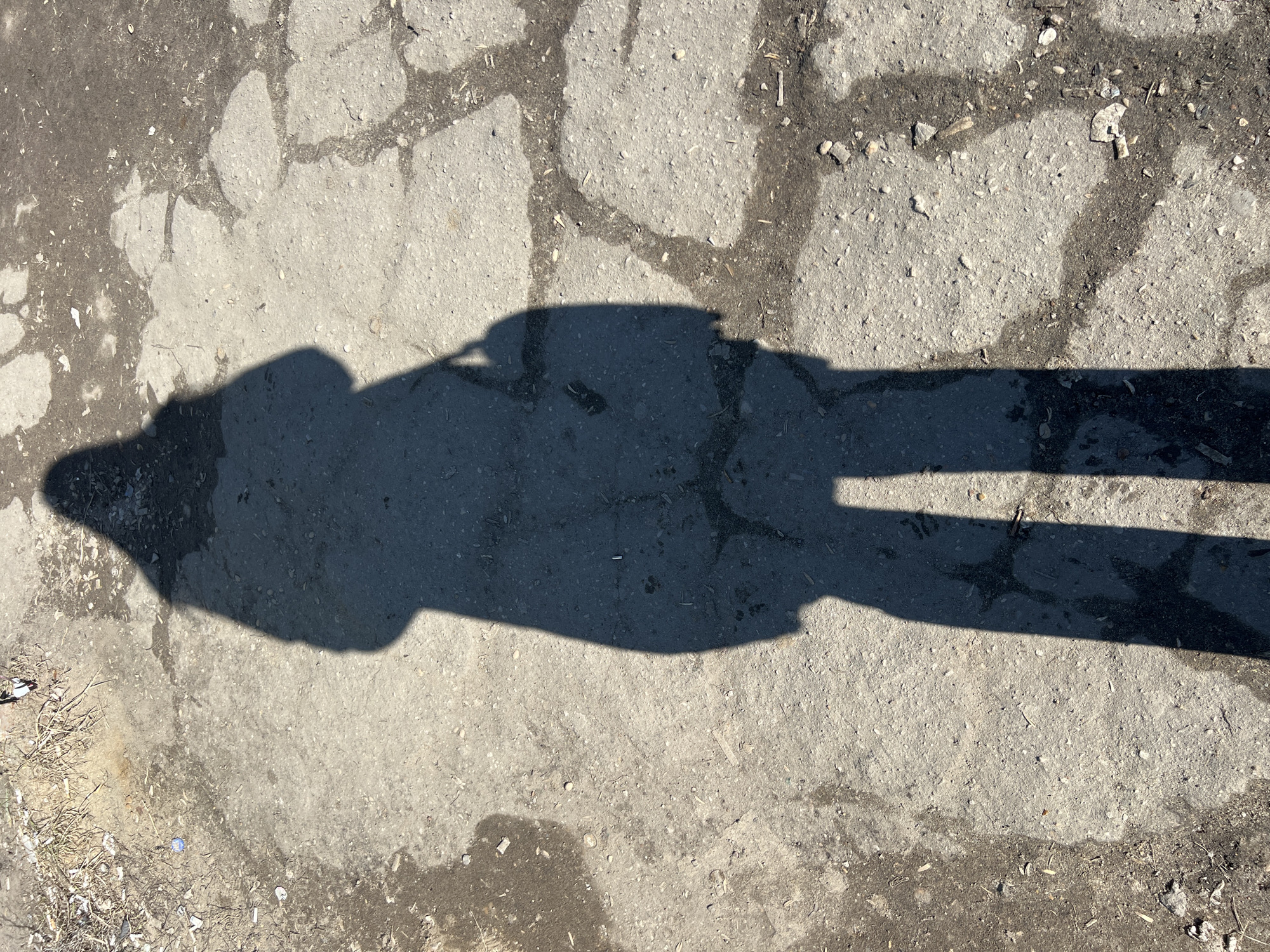 The image displays a full-length shadow of a person cast onto a cracked, uneven ground surface under direct sunlight. The shadow, which belongs to the photographer, depicts an individual wearing what appears to be a long coat or jacket, possibly a head covering, and carrying a bag on their right side.
The ground consists of light grey asphalt or concrete, exhibiting numerous cracks filled with darker dirt and debris. Patches of loose soil, dry twigs, small pieces of vegetation, and scattered litter (e.g., small paper fragments, plastic cap, cigarette butt) are visible across the surface, particularly along the left and upper edges. The overall environment suggests an outdoor, unmaintained area.
The image contains no visual identifiers such as buildings, signs, or unique landmarks that would confirm the specific location as Большевик, Russia.