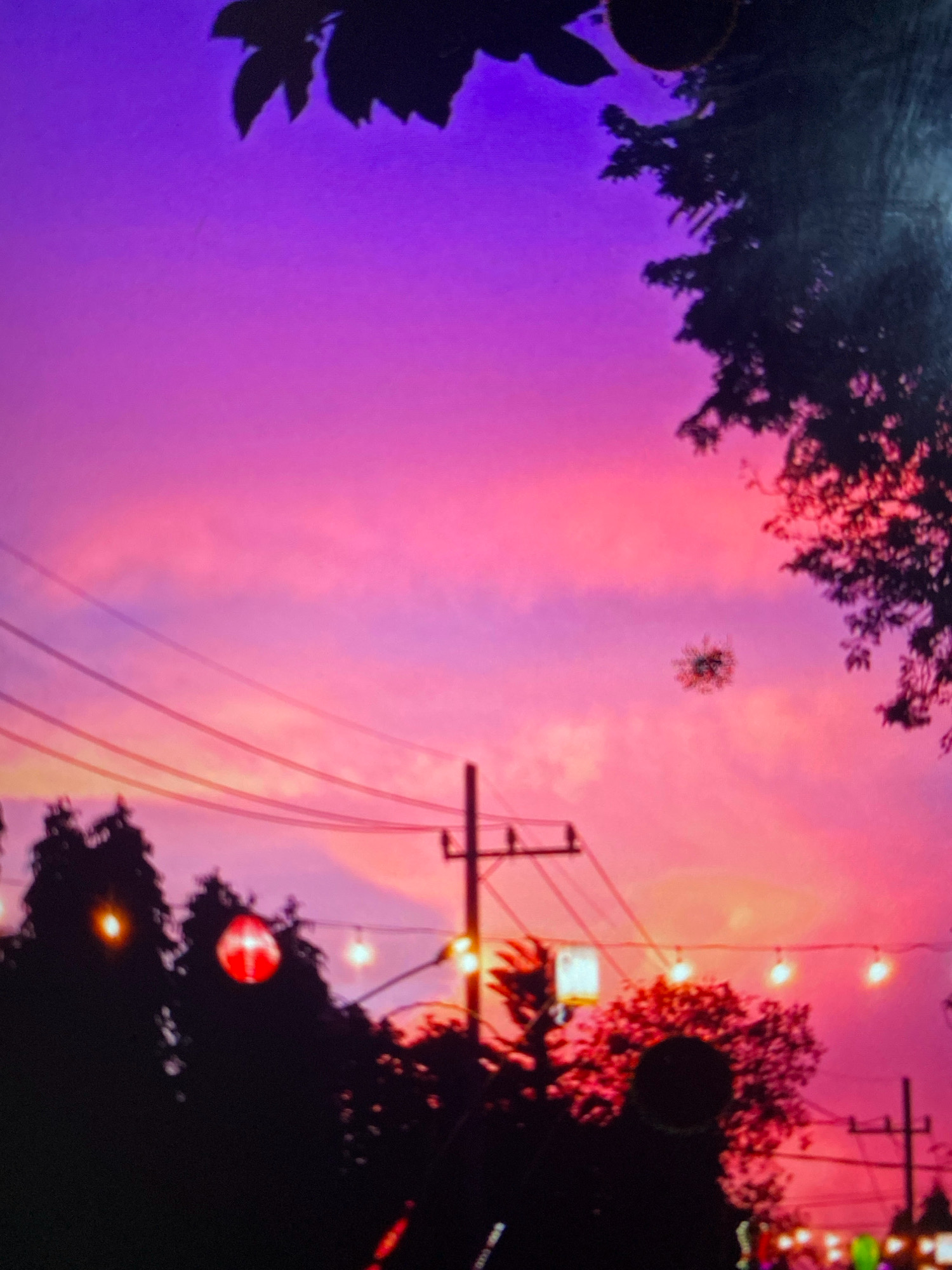 The image depicts a vibrant sunset sky over Probolinggo, Indonesia. Silhouetted against the purple and pink hues are trees, power lines, and overhead string lights, some of which are illuminated. The scene appears to be an outdoor setting, possibly a park or a street with some ambient lighting. There are no discernible people or specific actions taking place, rendering the description purely environmental and visual. The sky is a dominant feature, transitioning from deep purple at the top to shades of pink and orange near the horizon.