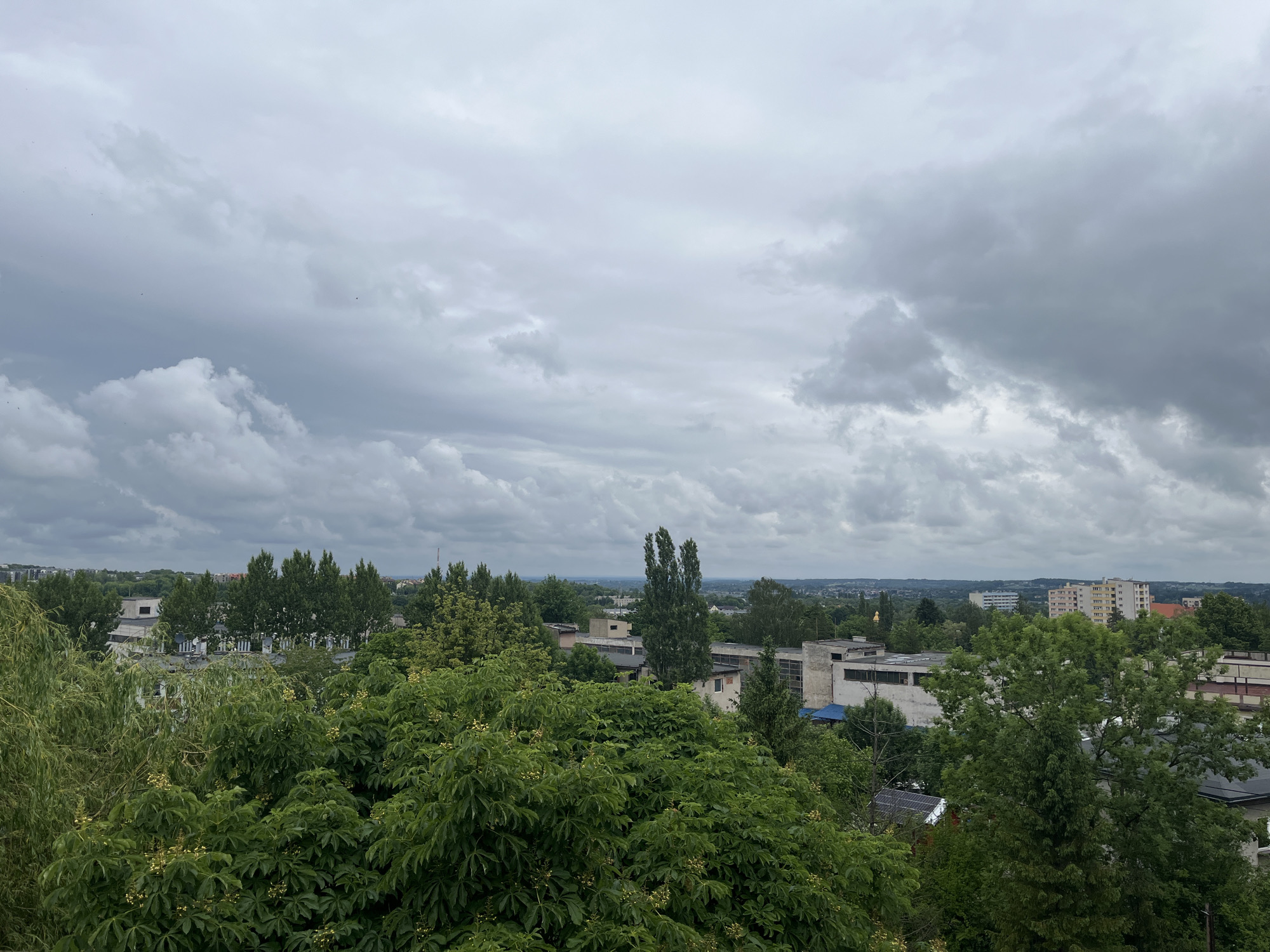 This image captures an elevated view of a sprawling urban or suburban landscape under a heavily overcast sky. The upper half of the frame is filled with a dense, gray cloud cover, showing varying formations and densities, suggesting a cloudy day, possibly before or after rain.
The lower half of the scene is dominated by a rich canopy of green trees and foliage. In the immediate foreground, lush, leafy trees with clusters of light-colored blooms or fruits (possibly chestnut trees) are prominent. Beyond these, a mix of other tree types, including tall, slender trees resembling poplars, are interspersed throughout the midground.
Nestled among the abundant greenery are numerous buildings. These include several low-rise structures with flat roofs, some appearing older or functional, featuring light-colored walls and dark roofs. Further in the distance, taller, multi-story residential buildings with multiple windows are visible, particularly on the right side of the frame, standing out with their lighter facades against the dark green landscape.
Subtle urban details are scattered across the mid-distance: a tall, thin, reddish-brown structure, possibly a chimney or antenna, rises on the left horizon, and a faint golden dome or cupola can be seen near the center-right, hinting at a religious or significant architectural landmark. A small solar panel array is visible on one of the darker roofs in the lower section of the image.
The overall atmosphere is quiet and somewhat muted due to the cloudy weather, with no discernible human activity or visible text. The time of day is daytime, but the lack of direct sunlight prevents more precise estimation.