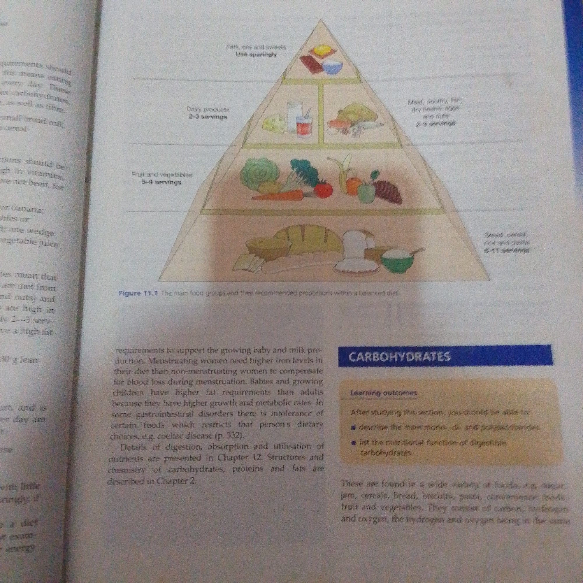 The image is a photograph of an open book, displaying a diagram of a food pyramid and accompanying text. The food pyramid is a hierarchical representation of food groups, with broader categories at the base and narrower categories at the top. Various food items are illustrated within each section of the pyramid, such as fruits, vegetables, dairy products, meats, and grains. Labels indicate recommended servings for each group.
The text to the left of the pyramid discusses nutritional requirements, mentioning carbohydrates, fats, and fiber. The text to the right is divided into two sections: "CARBOHYDRATES" and "Learning outcomes." The "CARBOHYDRATES" section lists learning objectives related to understanding different types of carbohydrates and their nutritional function. Below this, there is a paragraph describing common food sources of carbohydrates.
The image does not contain any information or visual cues that would indicate its location in Jalingo, Nigeria, or any other specific geographical place. The scene depicted is within the context of an educational resource, likely a textbook or a printed handout.