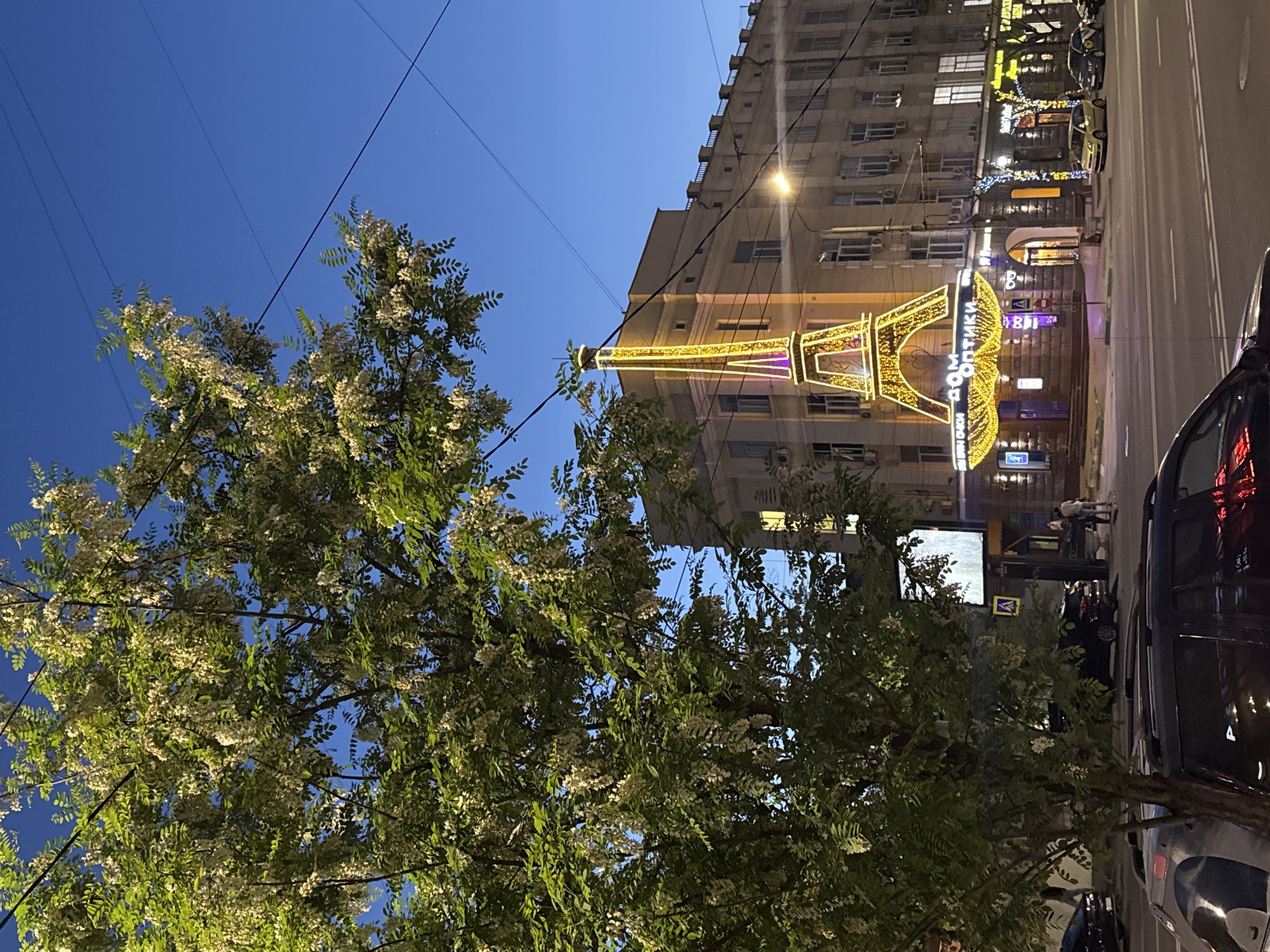 The image shows a street scene in Rostov-on-Don, Russia. An illuminated Eiffel Tower-shaped decoration adorns a building, in front of which a blooming tree partially obscures the view. The building itself is multi-storied with numerous windows. Street lighting is present, and several vehicles are parked along the road. The sky is dark blue.