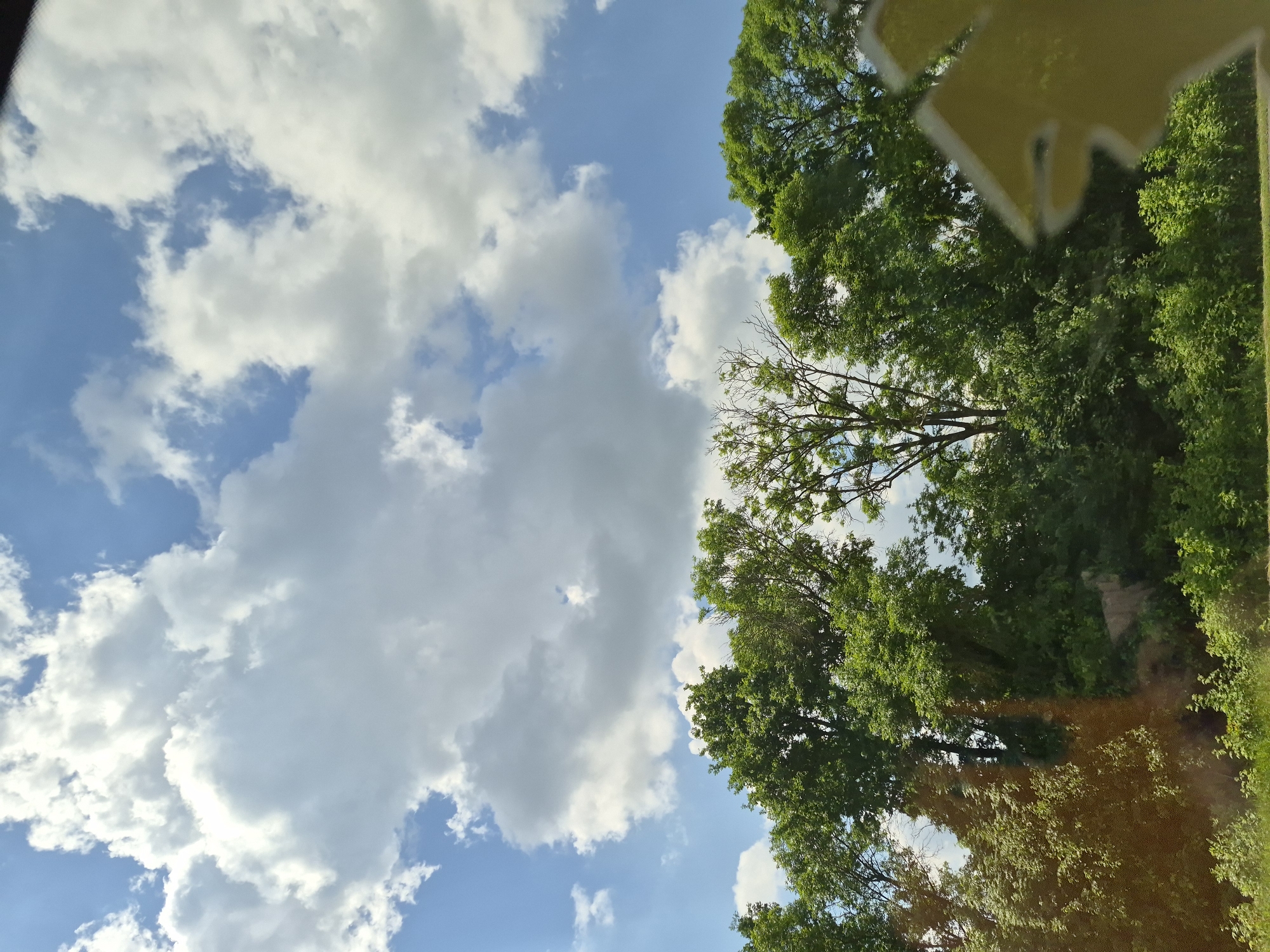 The image shows a view of trees and sky from a window, likely from a moving vehicle. The sky is blue with scattered white clouds. Below the sky is a dense line of green trees with some bare branches visible. In the lower right corner of the image, a yellow, somewhat abstract shape is visible, suggesting it is a reflection on the window. The image appears to be taken during the daytime. The provided information states the location is Pyrohivtsi, Ukraine, however, there are no specific landmarks or indicators within the image to confirm this or provide further details about the city.