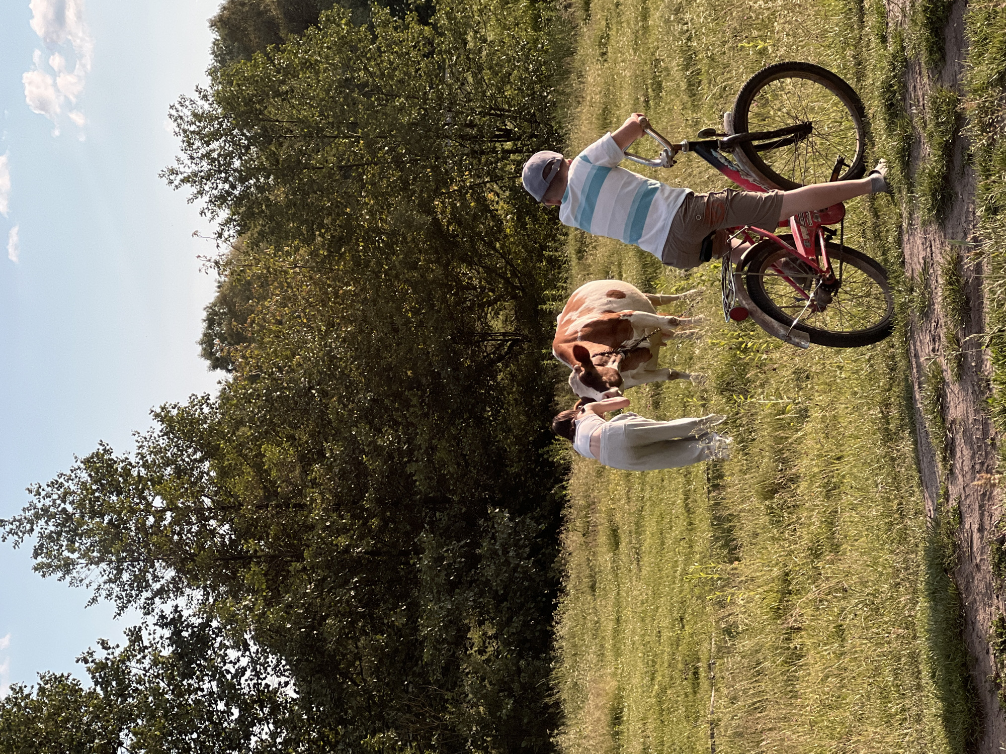 In the village of Vertelka, Ukraine, a boy on a bicycle observes a girl interacting with a cow in a grassy field. The boy, wearing a striped t-shirt, shorts, and a cap, is positioned in the foreground, his back to the viewer, with his hands on the handlebars of his red bicycle. The girl, dressed in light-colored pants and a top, is in the middle ground, bending towards the brown and white cow. The cow is facing away from the viewer. The environment is a sunlit meadow with trees forming a dense backdrop. The sky above is blue with scattered clouds.