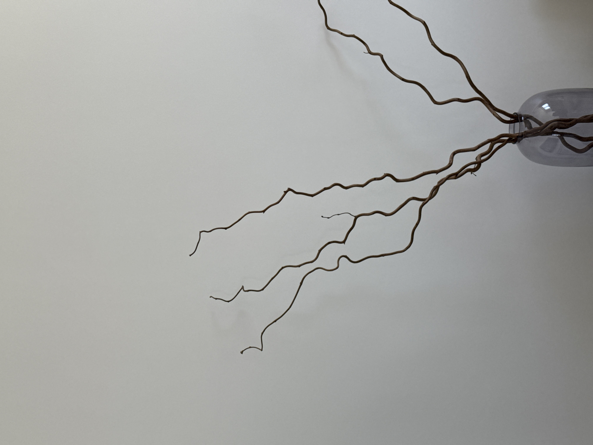 A low-angle shot depicts several bare, brown branches emerging from a glass vase against a plain white background. The vase appears to be translucent with a bluish-gray tint. No people or other distinct objects are present. The location is unspecified but the request refers to the city of Perm, Russia.