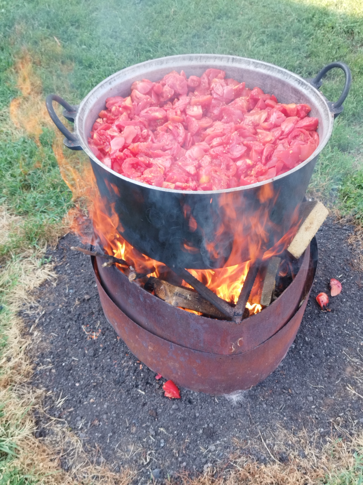 A large metal pot filled with chopped tomatoes sits over an open fire, supported by a rusty metal ring. The fire is actively burning, with visible flames and smoke rising from beneath the pot. Wood is being used as fuel for the fire. The scene takes place outdoors on a patch of dark soil surrounded by grass. A few pieces of tomato are scattered on the ground near the fire pit. The overall impression is a rustic outdoor cooking setting. The specific location in Bucharest, Romania cannot be determined from the visual information provided.
