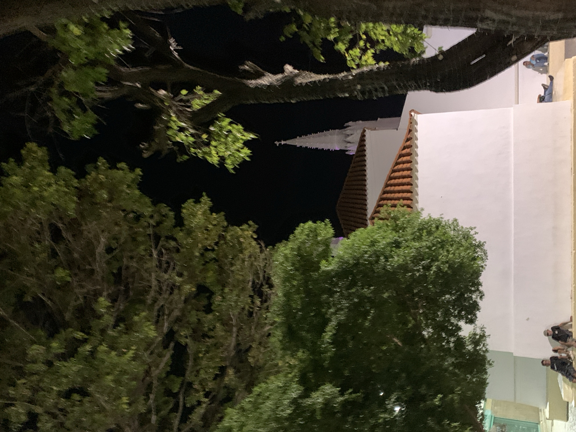 The image is an upward shot taken at night, possibly in the city of Juan Griego, Venezuela. In the foreground and midground, there are several trees with dense green foliage. A large tree branch with leaves is visible at the top of the frame, partially obscuring the view.
Behind the trees, a tall, white building with a pointed spire is seen. The building also features a roof with reddish-brown tiles.
Along the right edge of the frame, people can be seen standing and walking. The details are somewhat obscured due to the lighting and distance, but at least four individuals are discernible. The environment appears to be an outdoor urban area, likely a street. The overall impression is of an urban scene at night, with the architecture of the building standing out against the backdrop of trees and the night sky.