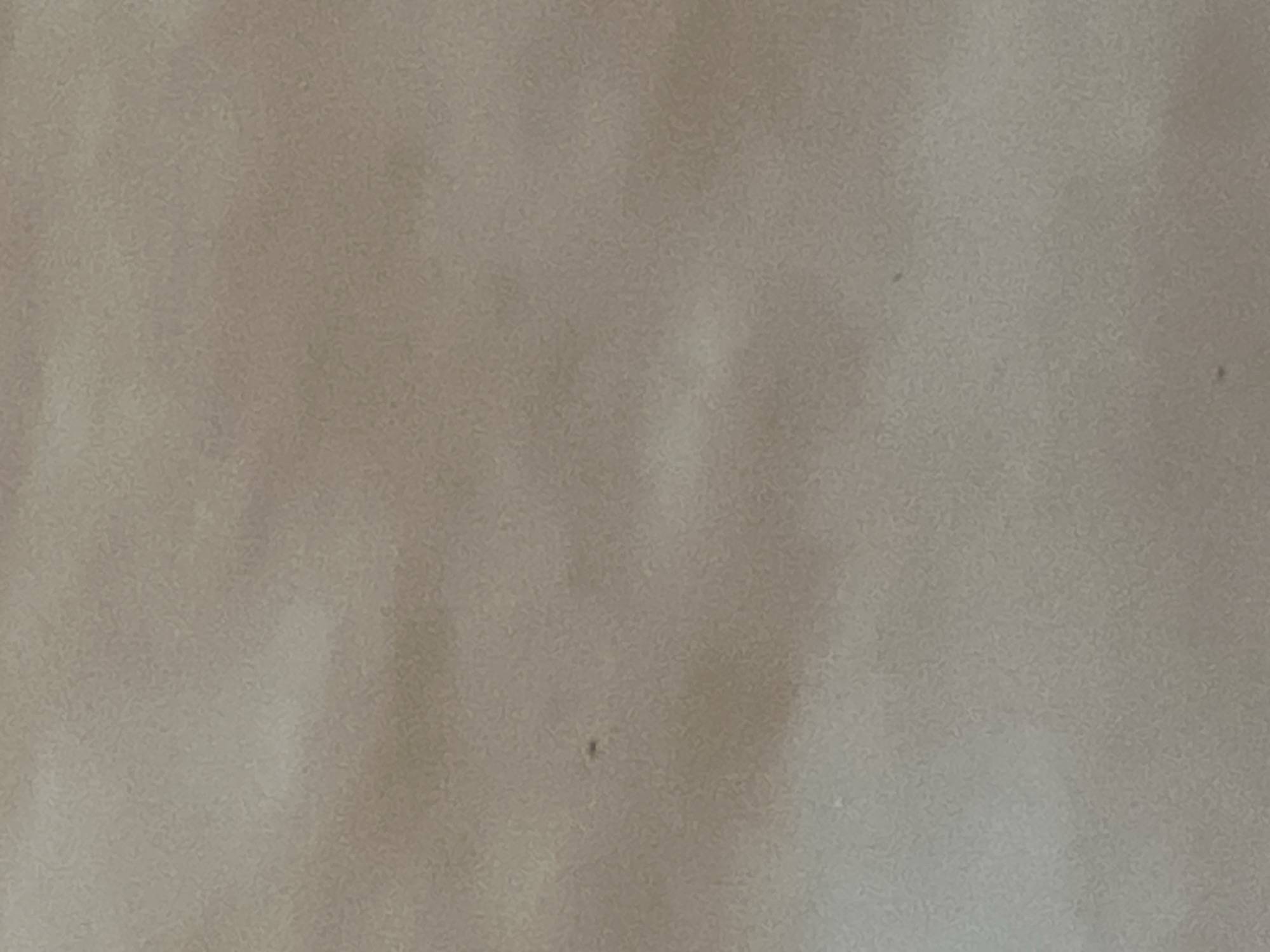 This image presents a close-up view of a textured surface, dominated by a muted color palette of light beige, pale brown, and soft greyish-brown tones. The surface exhibits an uneven, mottled pattern with subtle, irregular variations in luminosity and hue, suggesting a semi-smooth material like painted plaster, concrete, or a finely woven fabric. A fine, grainy texture is visible throughout, giving the appearance of a slightly rough or stucco-like finish. A small, dark, irregular speck is present in the upper-left quadrant of the frame, and a much fainter, minute dark spot is barely discernible towards the bottom-left. No other objects, individuals, or contextual elements are visible to provide additional information about the scene or its environment.