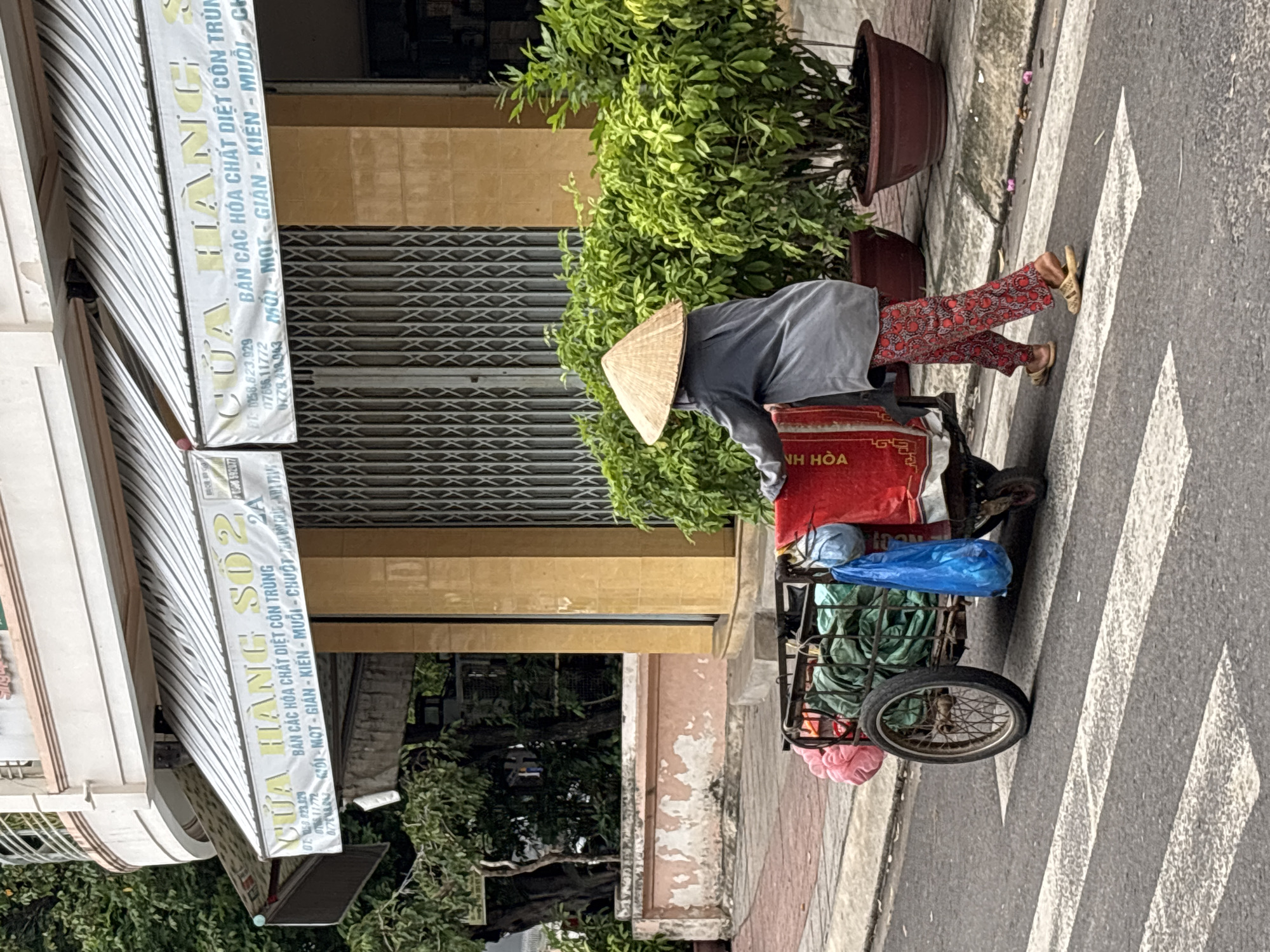 A person wearing a conical hat pushes a cart across a crosswalk in Nha Trang, Vietnam. The cart is loaded with various items, including bags and what appears to be fabric. The person is dressed in a grey long-sleeved shirt and red patterned pants, with sandals on their feet. The background shows a building with a striped awning displaying text in Vietnamese, a rolled metal gate, and lush green plants in pots. The street is paved, and the crosswalk is marked with white stripes. The lighting suggests it is daytime.