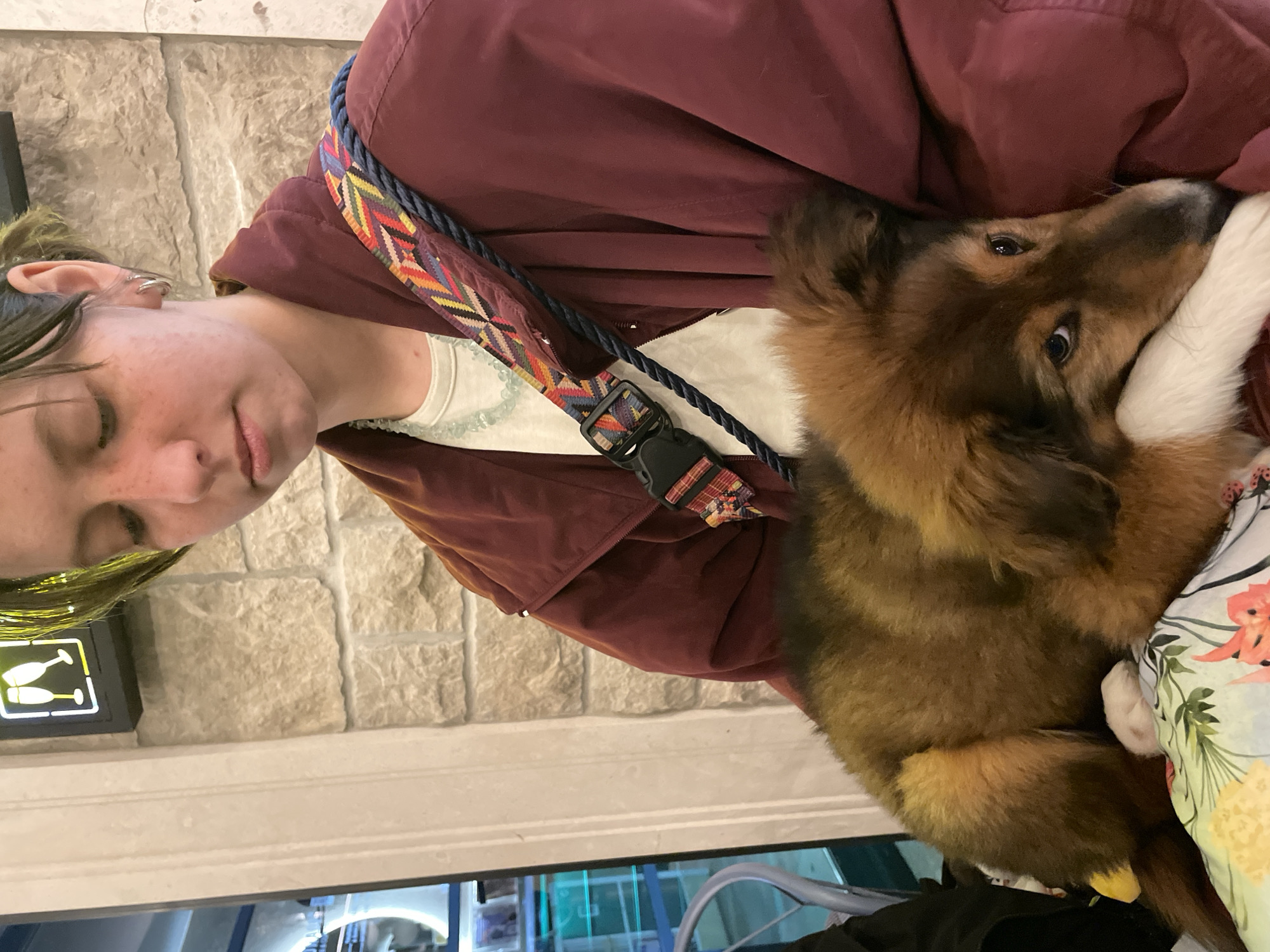 The image shows a person holding a brown and white dog. The person has short hair with green streaks, freckles, and is wearing a red jacket over a white top. The dog is nestled against the person's chest and is partially lying on a floral-patterned pillow. A strap with a colorful geometric pattern and a black buckle is draped across the person's shoulder. In the background, there is a stone wall, a sign with two champagne glasses on it and parts of the interior of a building, including what looks like chairs. The location is Rafailovići, Montenegro.