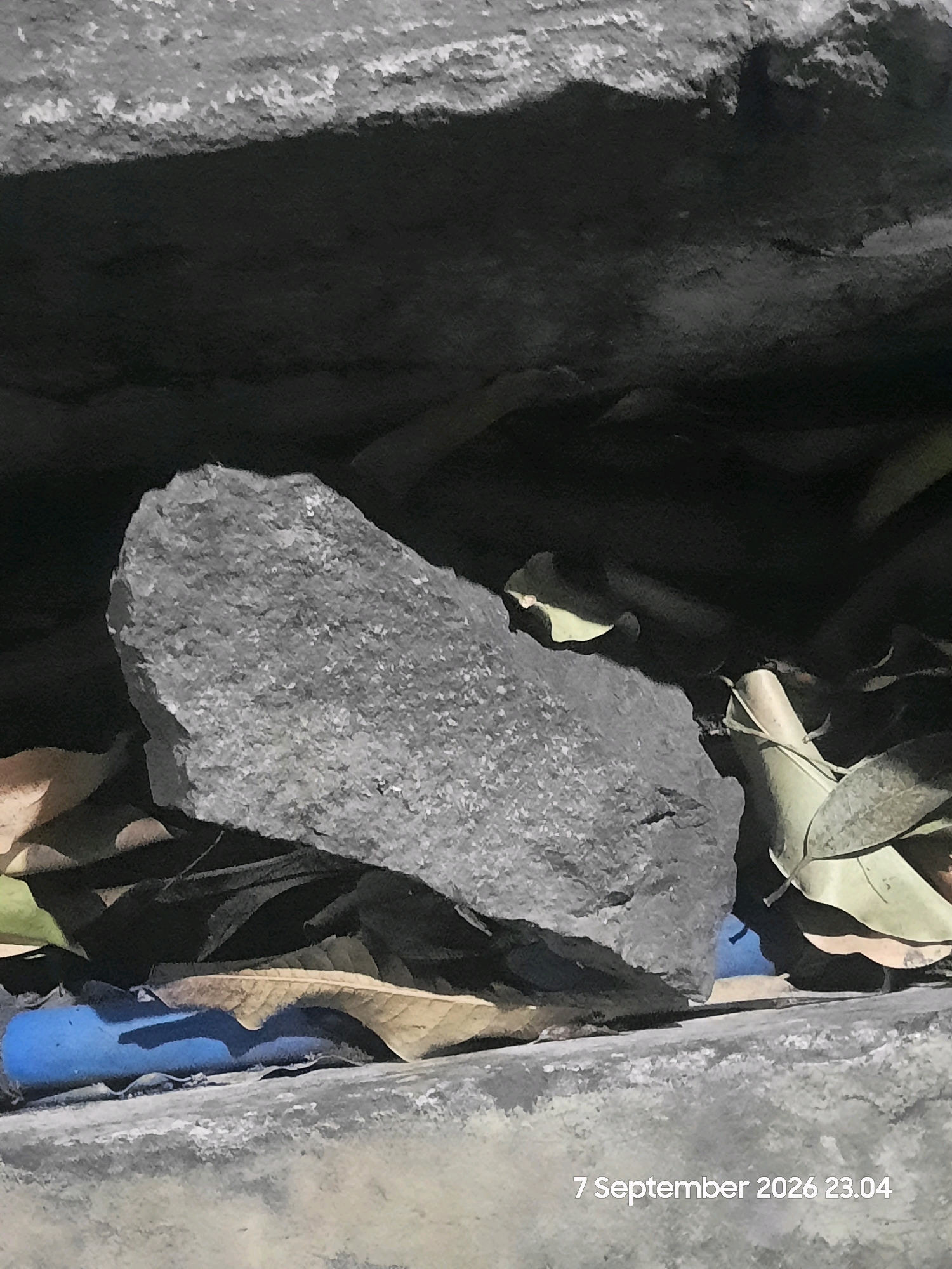 In Gending, Indonesia, a close-up, low-angle shot captures a large, rough-textured gray rock situated amongst fallen leaves and debris. The rock is dark gray with a speckled appearance, resting on a surface that appears to be concrete or stone. Behind the rock, shadows obscure the background, but hints of dried leaves and a bright blue object, possibly plastic, are visible. The image is dated "7 September 2026 23.04".
