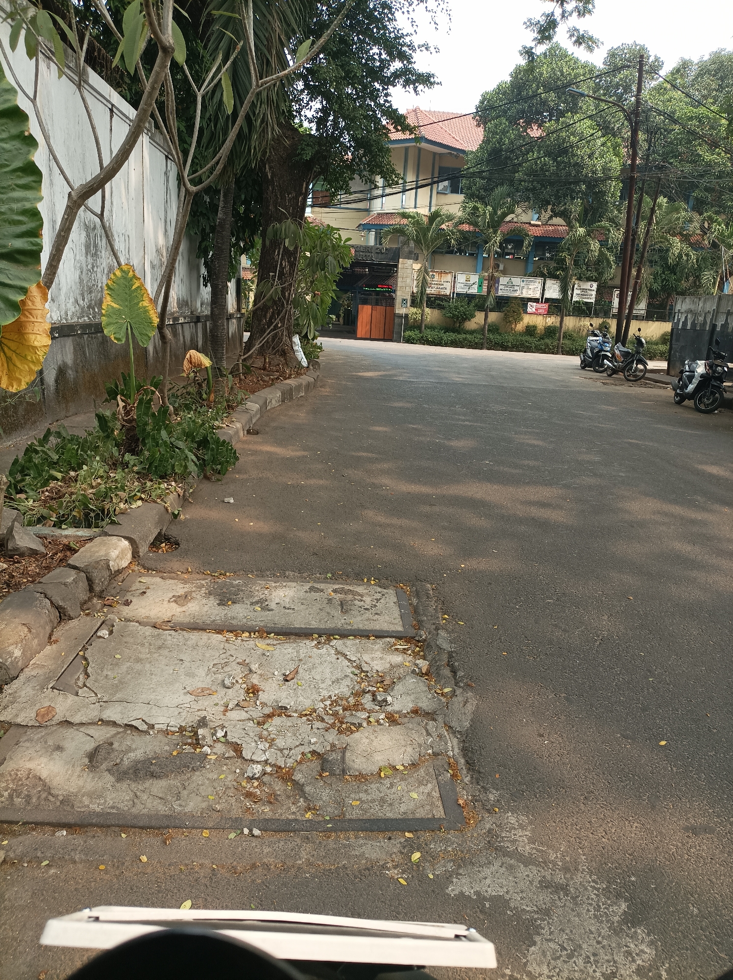 The image depicts a street scene in West Jakarta, Indonesia, likely in a residential or institutional area. A paved road runs horizontally across the frame, with a damaged concrete manhole cover in the foreground. On the left, a white wall runs along the side of the road, partially covered by lush green foliage and large, yellow-tinged leaves of what appears to be an elephant ear plant. Trees with bare branches and dense green foliage are interspersed along the wall. A dark tree trunk is prominent on the right side of the foliage.
Further down the road, a building with red-tiled roofs and light-colored walls is visible, set back from the street and surrounded by trees, including palm trees. Several signs are posted on the building's facade. Parked on the side of the road are three motorcycles: a blue and silver one, a dark-colored one, and a black one. The ground is asphalt, with some areas showing wear and tear. Fallen leaves are scattered on the roadside and on the manhole cover. The lighting suggests it is daytime, with dappled sunlight casting shadows on the road. A person wearing a yellow shirt is partially visible near the foliage on the left, appearing to be tending to the plants. In the bottom of the frame, a white object, possibly the hood or dashboard of a vehicle, suggests the image was taken from a moving vehicle.