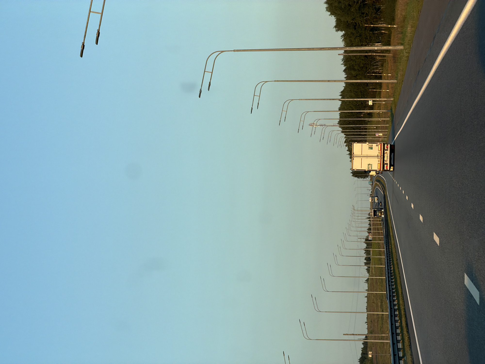 A clear, bright blue sky stretches across the top of the image, fading to a pale cyan near the horizon. A dual carriageway highway runs from the foreground towards the distance, curving gently to the right. The road is asphalt, marked with white lane dividers. On the right side of the road, a row of tall, modern streetlights lines the highway, their thin poles topped with dual lamp fixtures. Beyond the streetlights, a dense line of dark green trees forms the horizon, with some lighter green foliage and brown grassland visible in patches.
In the distance, several vehicles are visible on the highway. The most prominent is a white semi-trailer truck, seen from behind, traveling in the right lane. It has a white trailer with a rear door and some visible lettering. To its left, a lighter-colored truck, possibly a pickup or smaller commercial vehicle, is also traveling. Further in the distance, the lights of other vehicles can be seen.
The overall impression is a snapshot of highway travel in what appears to be a rural or suburban setting, under a clear sky, likely during the late afternoon or early evening due to the soft lighting. The scene is devoid of people.