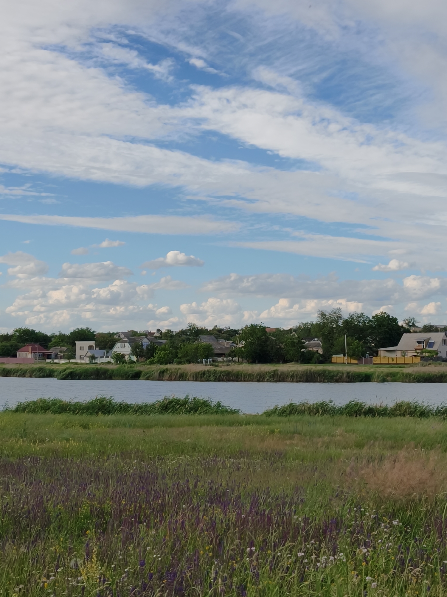 This is an image of a village on the outskirts of Kryvyi Rih, Ukraine, during the daytime. The sky is filled with white and gray clouds against a blue background. Below the sky, there is a body of water, possibly a river or lake, with reeds growing along its banks. Beyond the water, a line of trees separates the water from a village. The village consists of several houses with tiled roofs, some with white walls and others with muted colors. A yellow fence is visible in front of one of the houses. The foreground is a field of tall green grass with scattered purple and white wildflowers. The overall scene depicts a peaceful rural landscape.