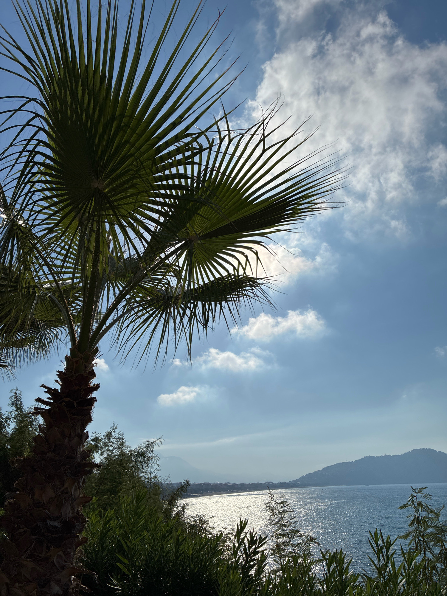 A palm tree frond dominates the foreground against a bright blue sky with scattered white clouds. The sun is visible through the frond, casting a slight silhouette. Below the frond, the sea sparkles in the sunlight, leading to a distant, hazy coastline with hills. Lush green foliage lines the bottom of the image. The scene appears to be a coastal view, likely from a park or resort in Alanya, Turkey, given the characteristic palm trees and seaside landscape. There are no people visible in the image.