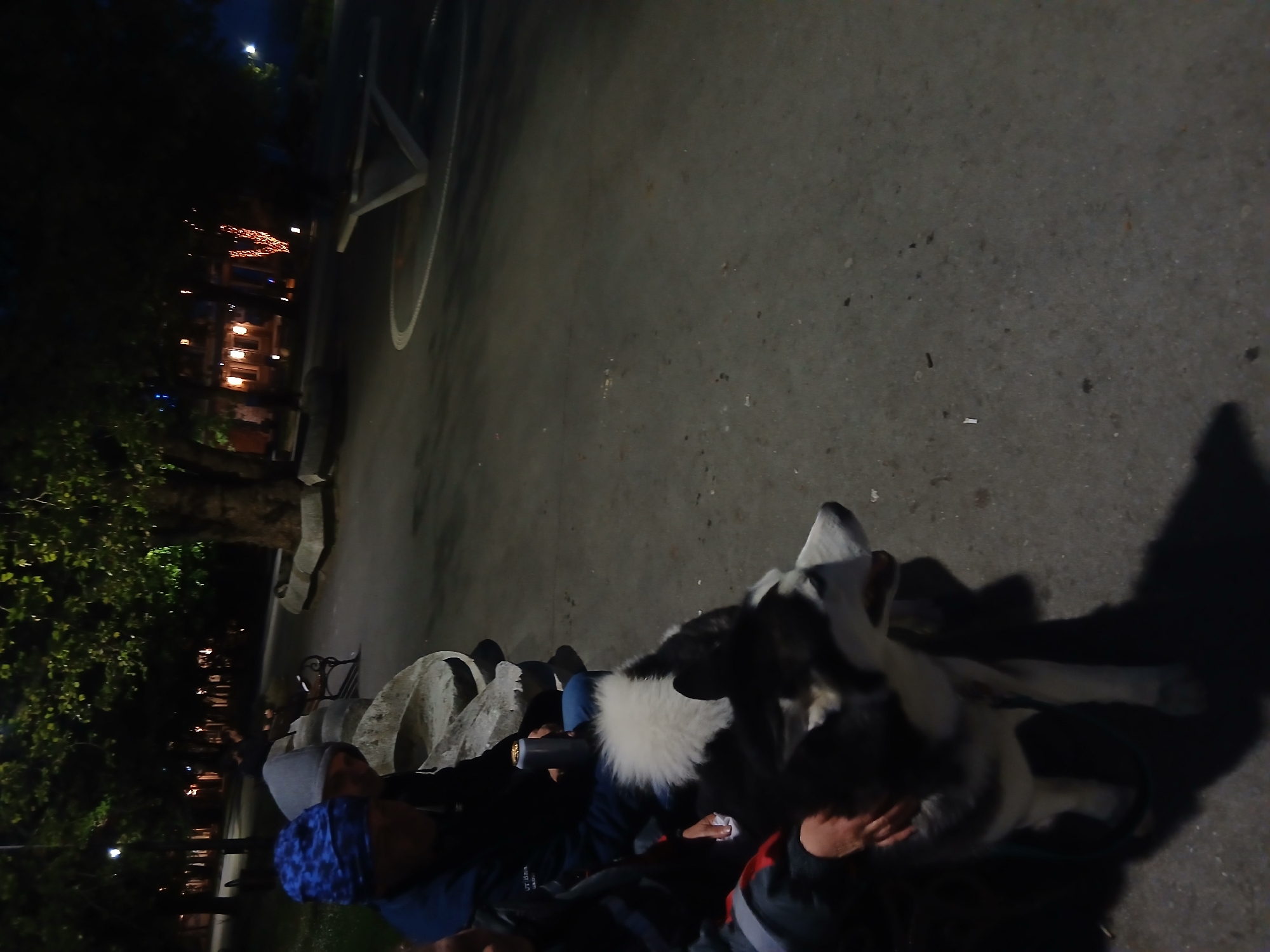 The image shows a night scene at what appears to be a park. Several people are seated on or near benches. A dog with black and white fur lies down among them. Trees and a paved area are visible. Lights from buildings can be seen in the background. Based on the limited visual information, a specific location within Varna, Bulgaria, cannot be conclusively identified.