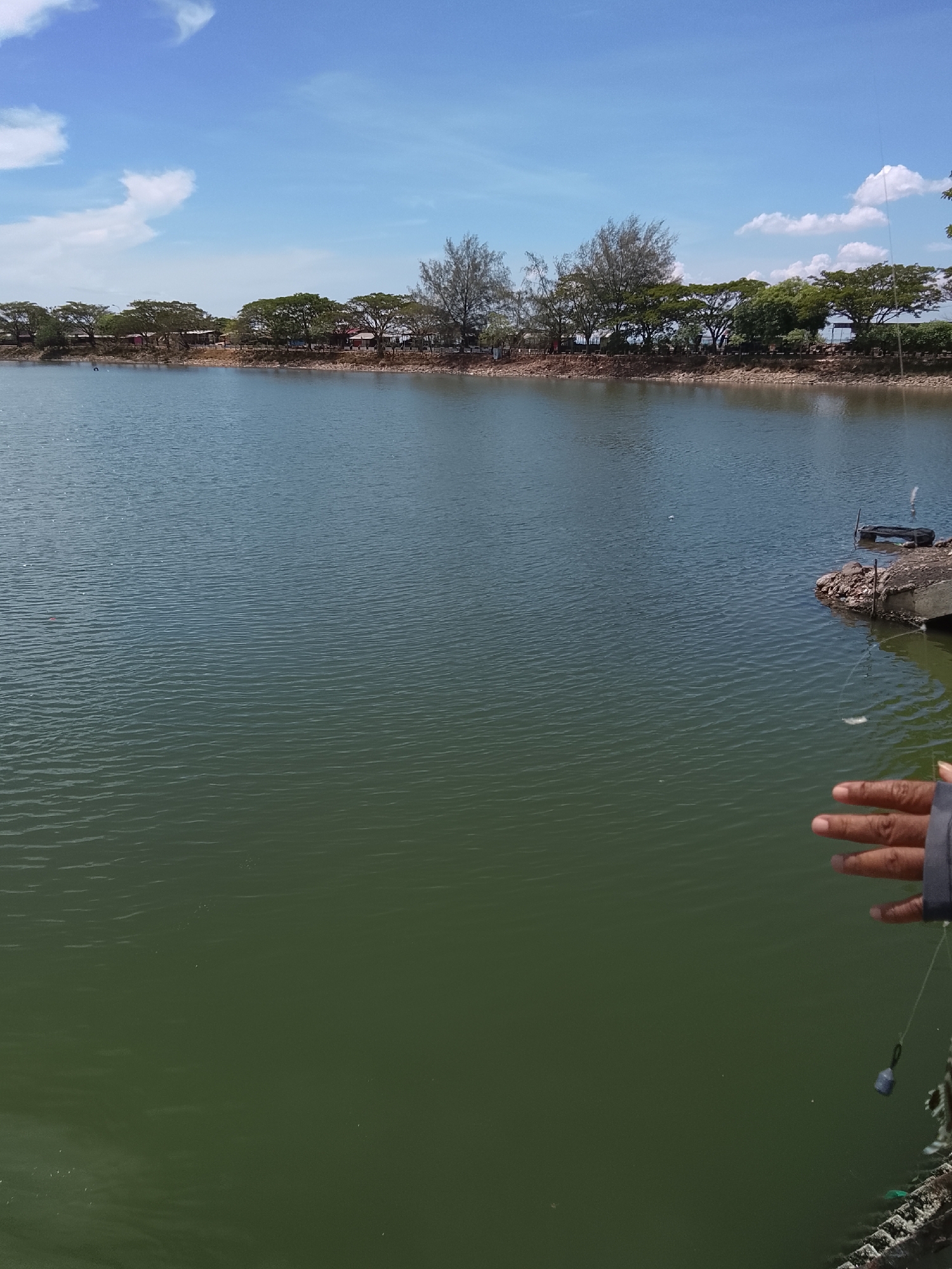 The image depicts a wide, calm body of water, likely a lake or pond, with a green hue. The water's surface is rippled by a gentle breeze. In the background, a line of trees with dense green foliage borders the water, interspersed with some taller, sparser trees. Beyond the trees, low-lying structures with reddish-brown roofs are visible, suggesting a developed area. The sky above is a vibrant blue, with scattered white clouds. On the right side of the foreground, a human hand is partially visible, wearing a dark sleeve. A fishing line with a small weight descends into the water from the hand, indicating an activity is taking place. A concrete structure and some debris are visible near the water's edge in the middle ground on the right. The overall impression is a serene, outdoor scene, possibly a recreational or aquaculture area. This scene is consistent with various aquaculture ponds found within or on the outskirts of Lhokseumawe, Indonesia, a city known for its coastal location and surrounding agricultural and aquaculture activities.