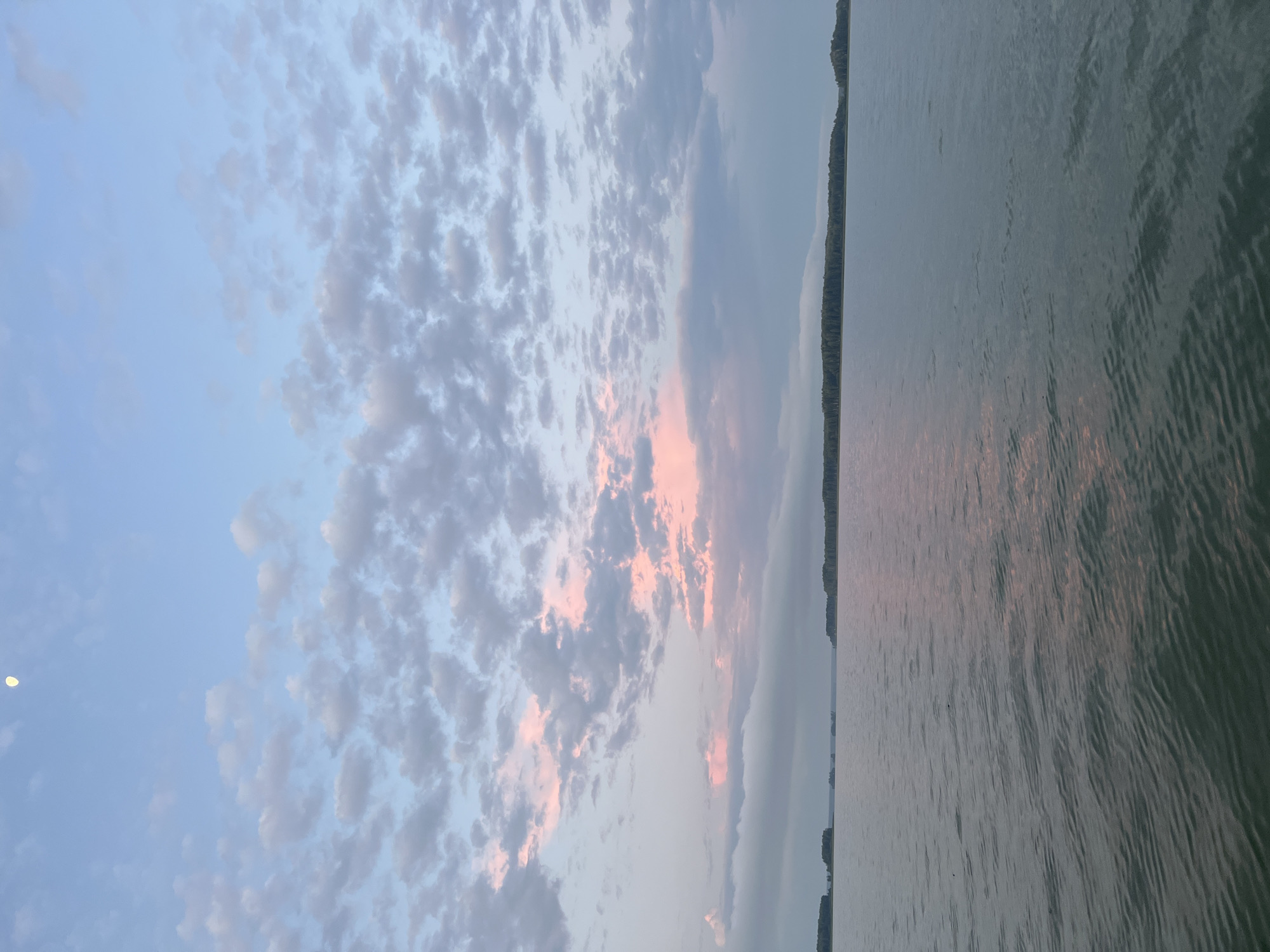 A wide, still body of water, likely a lake or calm river, dominates the lower half of the image. The water's surface is a muted green, reflecting the sky above with subtle ripples. In the distance, a tree-lined shore stretches horizontally across the frame, broken by small islands with sparse vegetation. The sky is a pale blue, transitioning to a softer hue near the horizon. Wispy clouds are scattered across the sky, some tinged with soft pink and peach, suggesting either dawn or dusk. A sliver of the moon is visible in the upper left quadrant of the sky. There are no people or man-made structures visible in the image. The scene evokes a sense of tranquility and natural beauty.