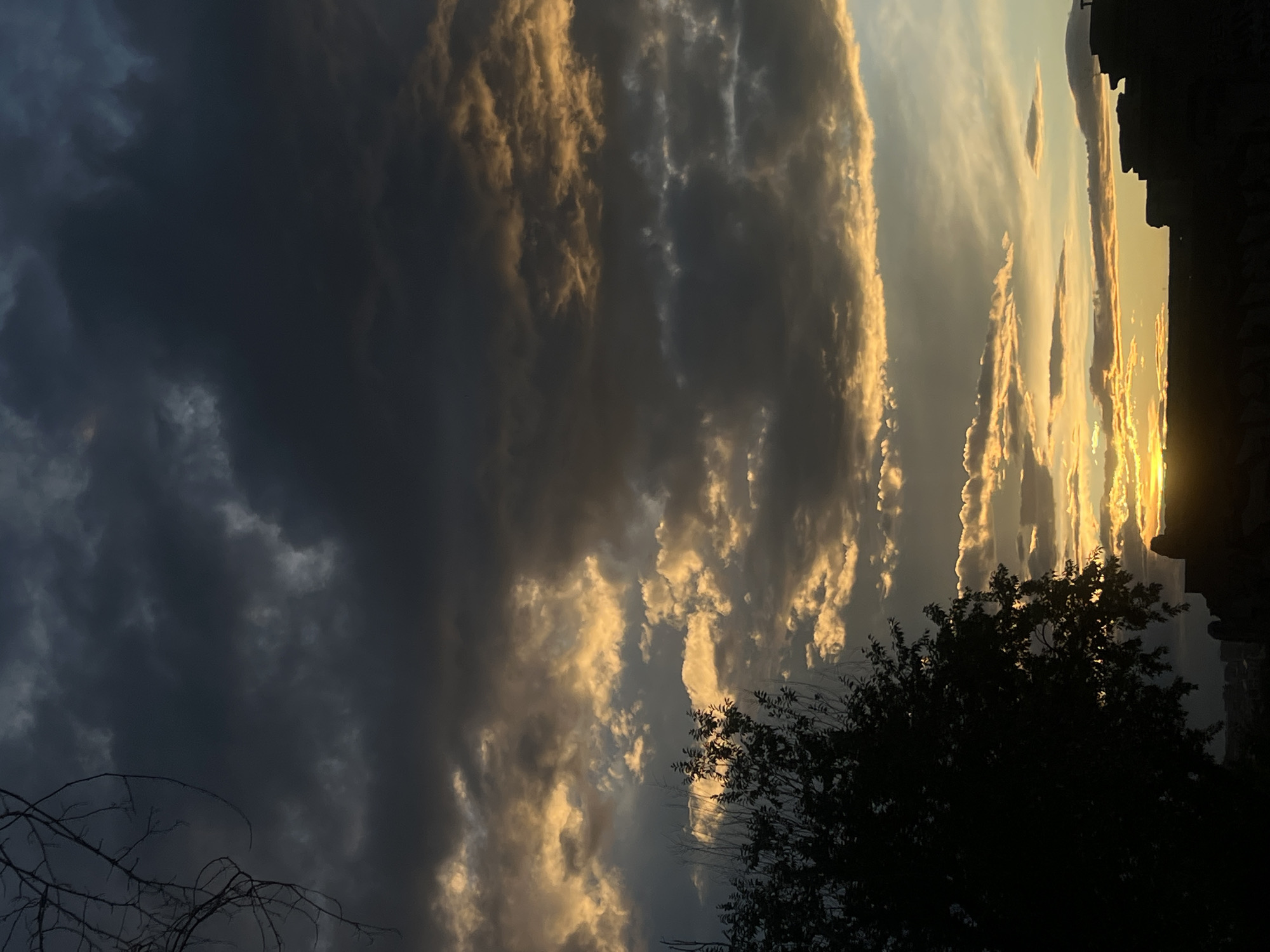 The image depicts a sunset sky with dark storm clouds on the left and golden clouds on the right. Silhouetted against the sky in the lower right is a tree and part of a building. In the lower left are the silhouetted bare branches of a tree. There are no visible people. The specific location in Yerevan, Armenia cannot be determined from this image.