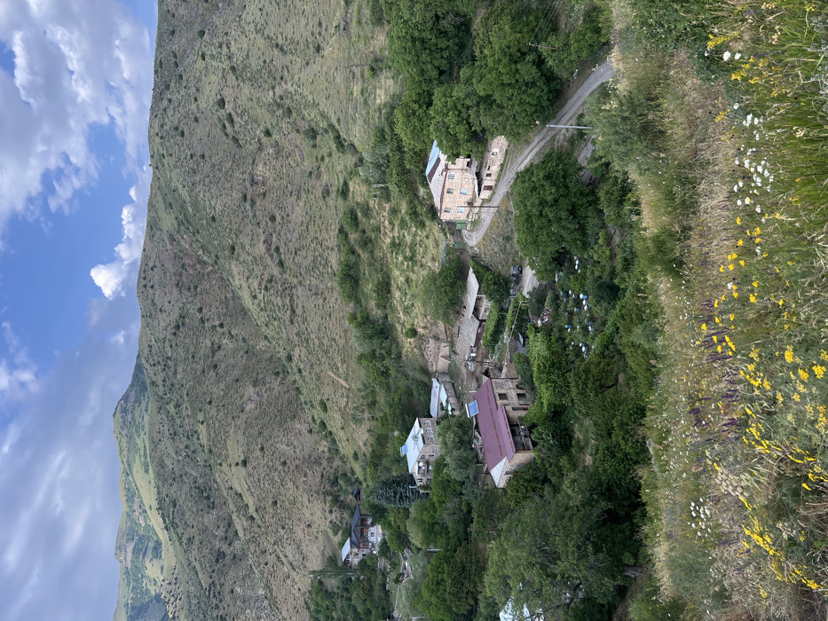 A village nestles into a mountainside, interspersed with trees and meadows. Buildings with red and blue roofs are dotted among the greenery. A road winds through the scene. Lush green mountains rise beside the village, with a blue sky and fluffy white clouds overhead. Yellow wildflowers bloom along a bank in the foreground.