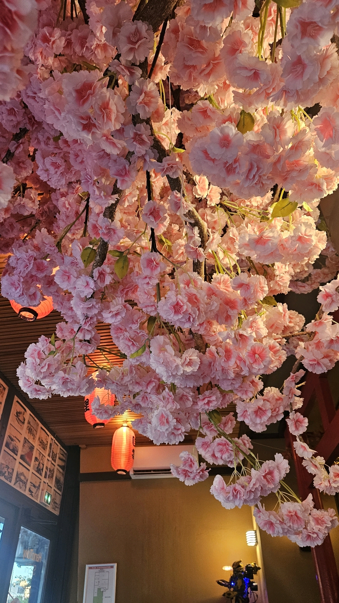 The image depicts an indoor scene, likely a restaurant, with a prominent display of artificial pink cherry blossoms hanging from the ceiling. The blossoms are densely clustered and appear to be attached to branches that are also visible. Several traditional red Japanese lanterns are suspended from above, some illuminated. In the background, there is a light-colored air conditioning unit mounted on a wall. To the left, a section of a wall is adorned with framed artwork or posters, arranged in a grid. A glass door is partially visible on the far left, reflecting some of the interior. The overall ambiance suggests a Japanese-themed establishment. The location is identified as Montélimar, France. There are no people visible in the image.