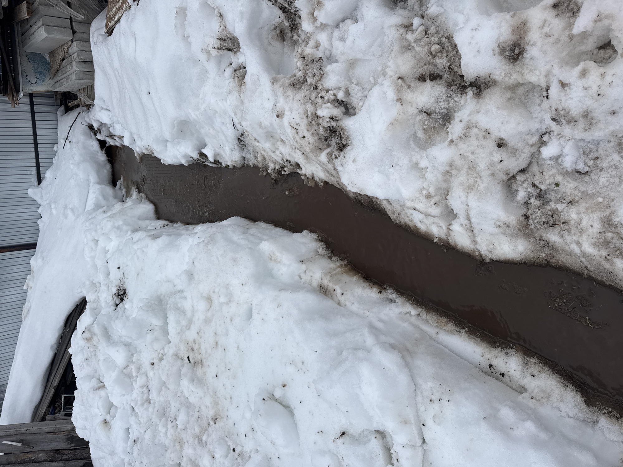 The image depicts a substantial accumulation of snow in an outdoor setting, likely in early spring. The snow is discolored with dirt and debris, indicating partial melting and thawing. A channel of muddy water runs through the snowpack, suggesting active snowmelt. The setting appears to be near a building or structure, as indicated by a roofline visible on the left side of the image and stacked materials nearby. There is no indication of any people. The geographical location is stated to be Chaikovsky, Russia.