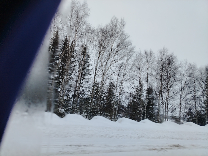 A snowy winter landscape features a row of trees, some evergreens and some bare birch, against a cloudy sky. Snow covers the ground in mounds, and the image is partially obscured by a blurred, blue-tinted element on the left side, suggesting the view is from inside a vehicle. The overall scene is muted and cold, dominated by whites, grays, and dark greens. The road is visible in the foreground.