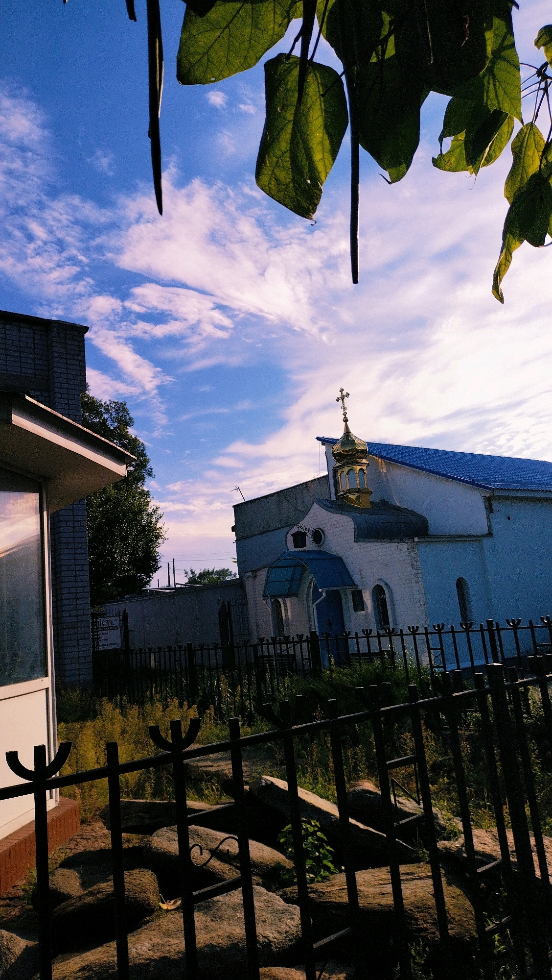 The image depicts a church with a golden dome and a blue roof, seen from behind a black metal fence. To the left, a portion of a brick building with a glass window is visible. The sky above is blue with scattered white clouds, and green leaves hang from branches in the foreground, obscuring the top of the image. The environment appears to be outdoors, with some vegetation and large rocks visible behind the fence. The scene is likely located in Horishni Plavni, Ukraine, given the context. No people or specific actions are discernible in the image.