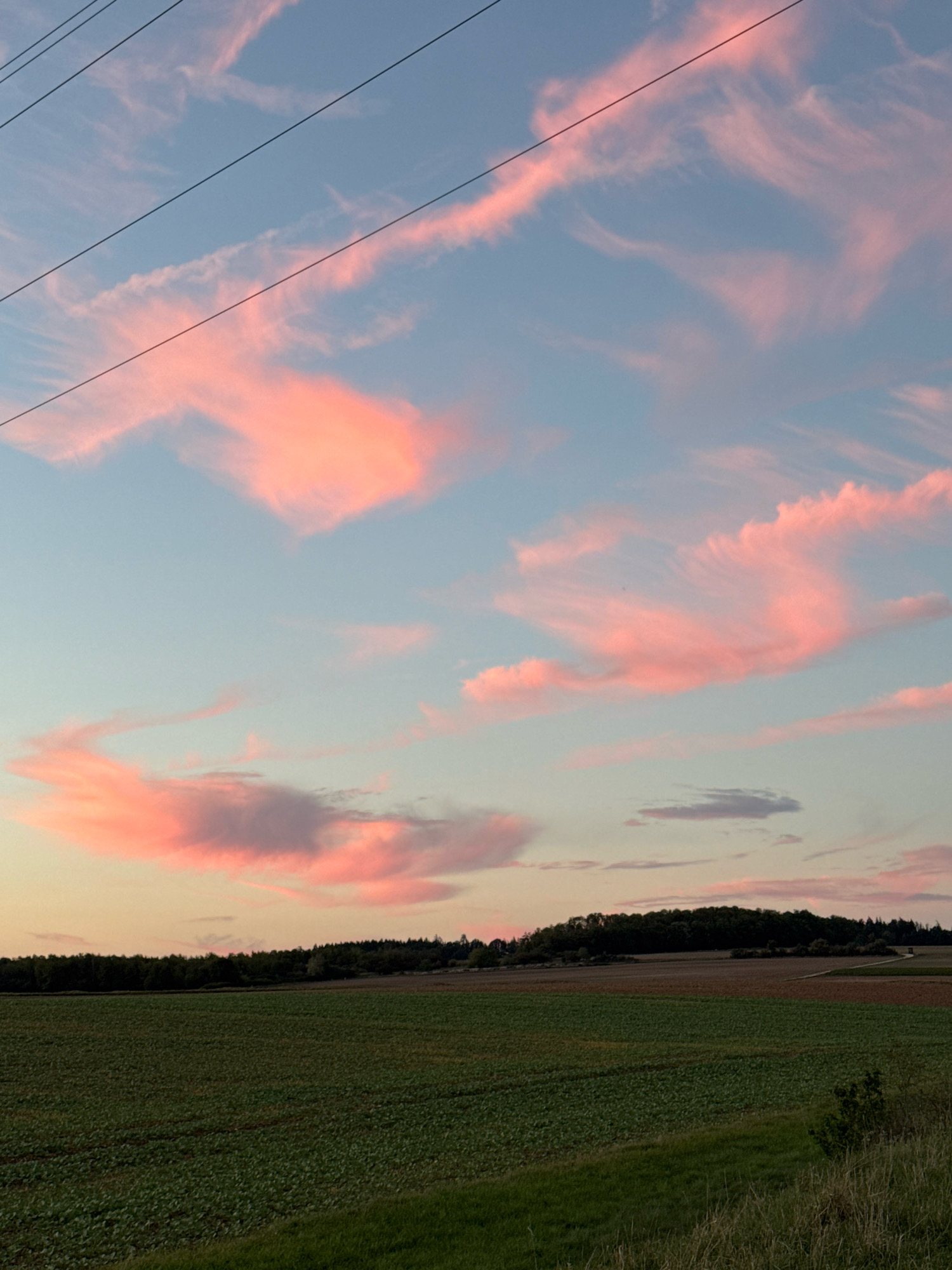 The image depicts a rural landscape, likely in Wettstetten, Germany, during the soft light of sunset or dawn. The sky is a pale blue, streaked with wispy, pink-tinted clouds that create a painterly effect. Three parallel black wires, presumably power or telephone lines, stretch diagonally across the upper portion of the frame. Below the sky, a dark green, dense line of trees forms the horizon. In front of the trees, rolling fields are visible. The closest field is a vibrant green, with visible rows indicating cultivation. Further back, fields transition to shades of brown and lighter green. The overall impression is one of tranquility and natural beauty. There are no people or animals visible in the image.