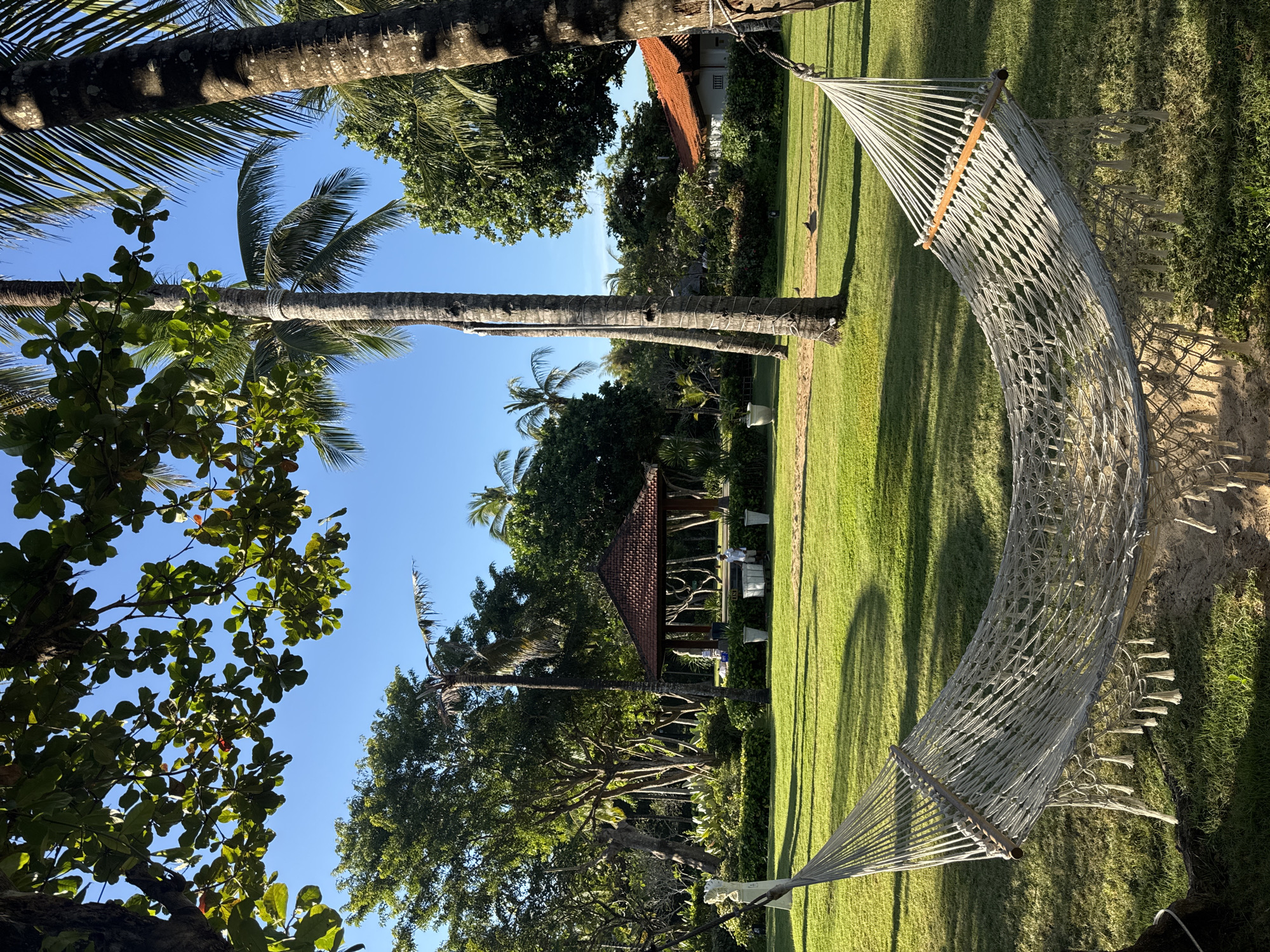 The image depicts a hammock suspended between two palm trees in a grassy area, likely a lawn or garden in Kuta Selatan, Indonesia. The sky is clear and blue, with other trees and foliage visible in the background. A structure with a brown roof is visible in the distance, further suggesting a resort or residential setting.