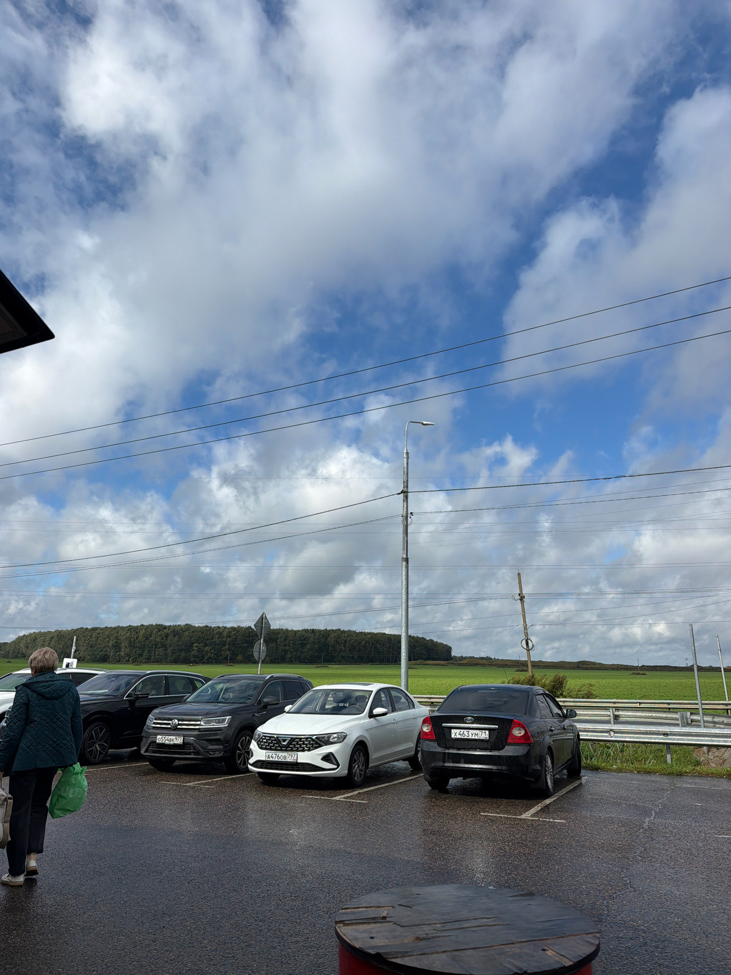 A woman in a dark green quilted jacket and dark pants, carrying a green reusable shopping bag in her right hand, walks away from the camera on a wet asphalt parking lot. She is on the left side of the frame. Several cars are parked in front of her. From left to right, they are a black Volkswagen Tiguan, a white Volkswagen Tiguan, and a black sedan that appears to be a Ford Focus. The parking lot is wet, indicating recent rain. In the background, there is a line of trees, a bright green field, a metal guardrail, and utility poles with power lines crisscrossing the sky. The sky is mostly blue with scattered white and gray clouds. The scene appears to be outdoors in a rural or suburban area with clear weather conditions despite the wet ground. The image is taken from a slightly elevated perspective.