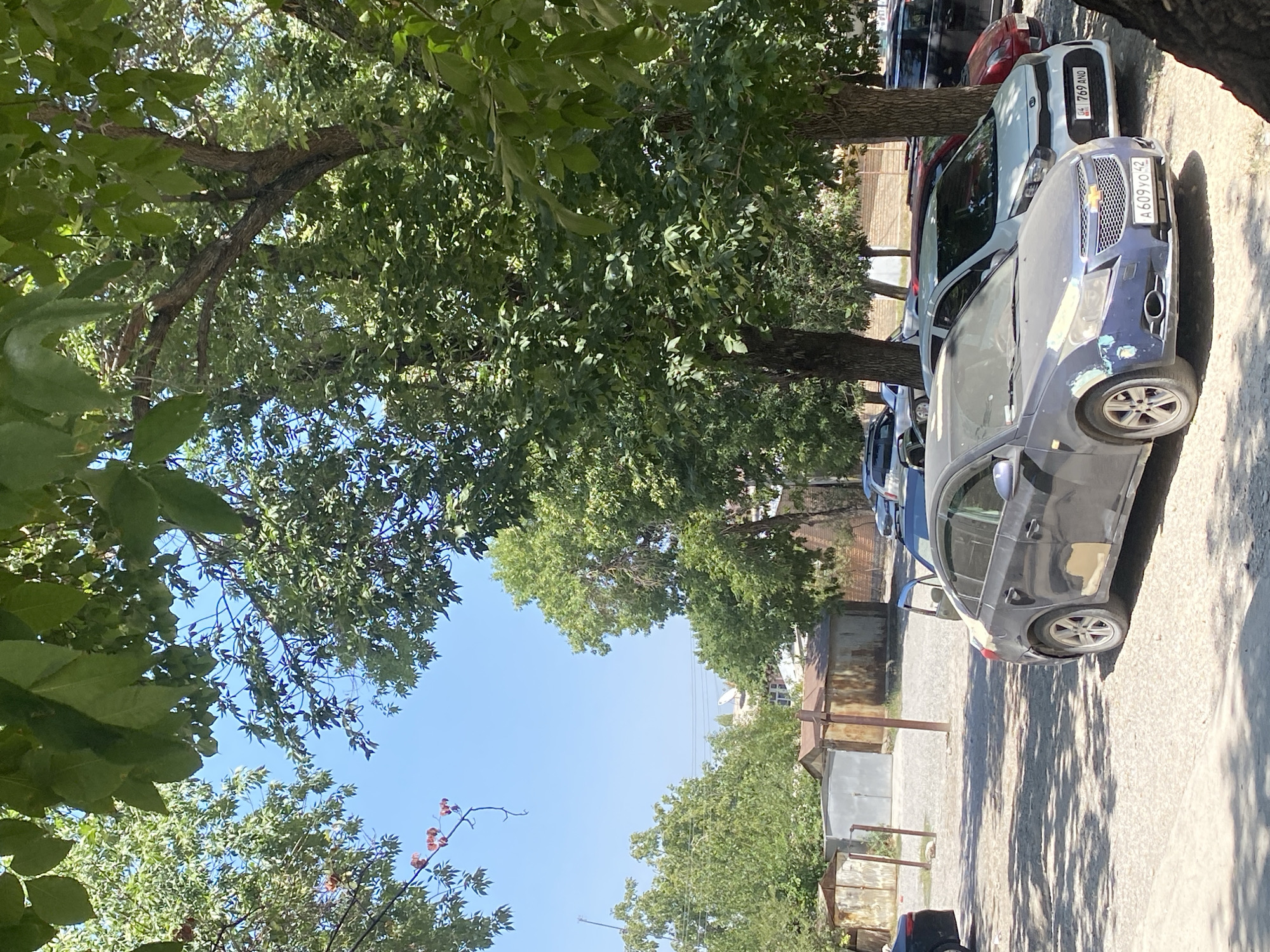 In Manas, Kyrgyzstan, a sun-drenched, dusty parking area is partially shaded by mature trees with dense green foliage. The ground is covered in loose gravel. In the foreground, a dark blue Chevrolet sedan, appearing to be undergoing repairs with visible primer on its front bumper and rear fender, is parked. To its right, a white Kia Picanto is parked, displaying a license plate that reads "04 769 ANO". Behind these vehicles, other cars are visible, including a red sedan. In the background, several corrugated metal sheds or garages with rusted elements are situated. The sky is clear and blue, and some buildings are visible in the distance, with one possibly having a satellite dish. The overall scene depicts an outdoor parking area with vehicles and simple structures under a bright sky.