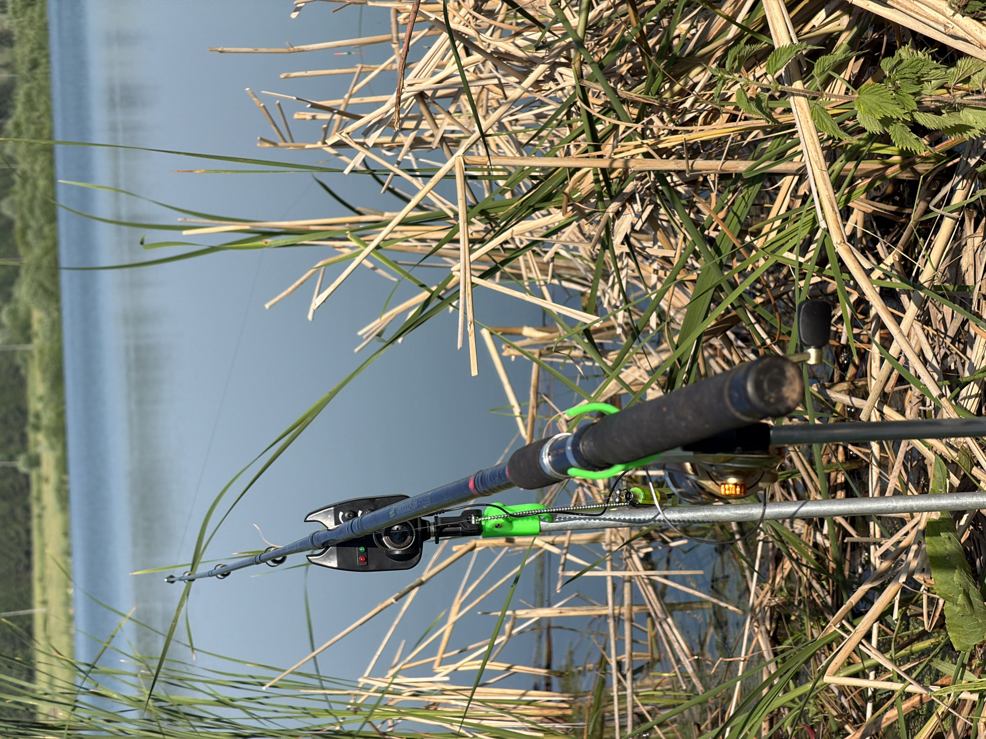 A fishing rod is set up on a rod pod, with the rod tip angled towards a body of water. A bite alarm is attached to the rod. The rod is surrounded by reeds and dry grasses. The water is calm and reflects the sky. The background shows a line of trees. There are no people visible in the image. The scene appears to be a natural outdoor setting, likely a lake or river bank.