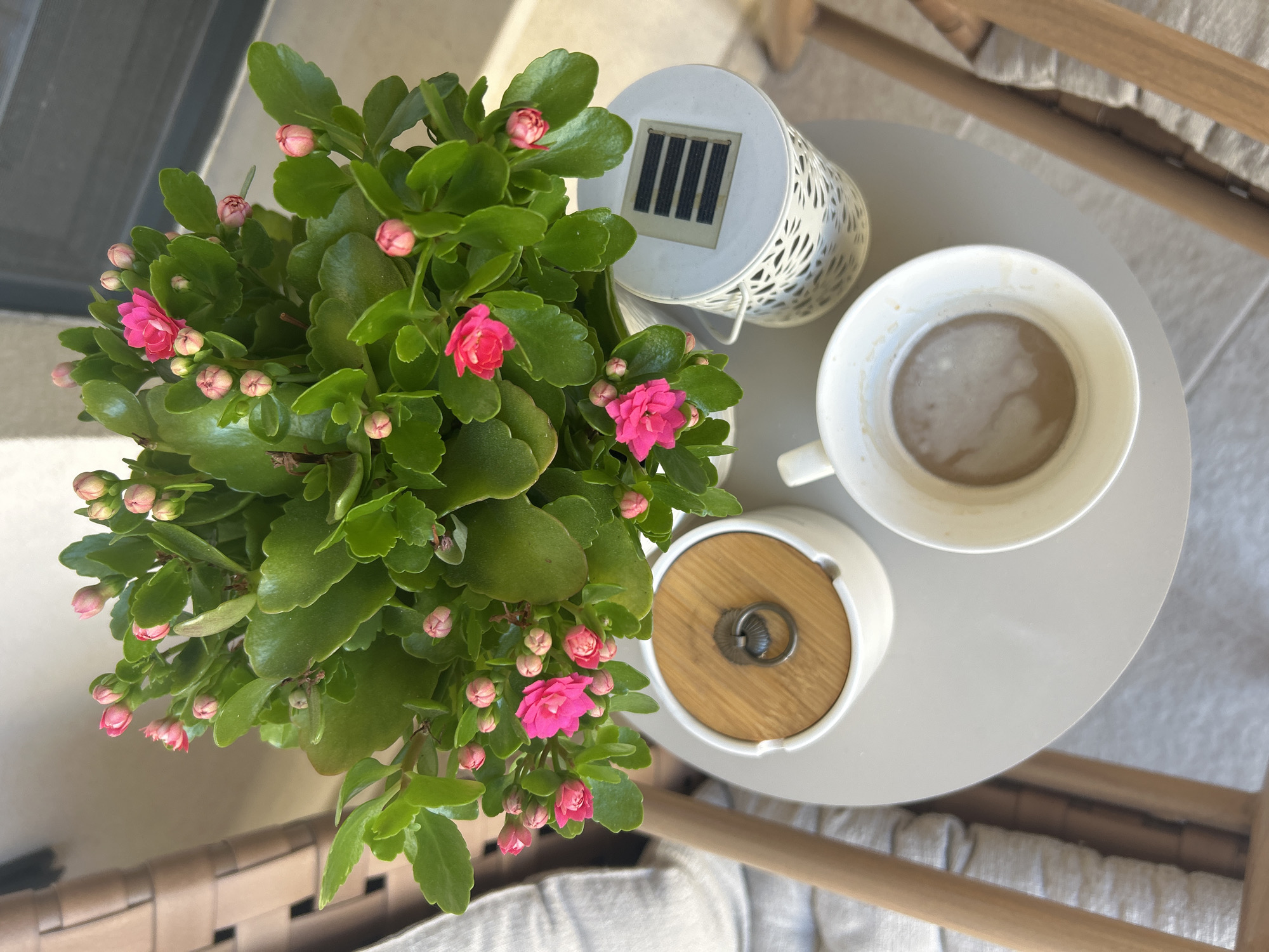 This is an overhead shot of a small, round, light gray table on a balcony or patio. On the table is a white ceramic planter filled with a lush green plant featuring numerous small, bright pink blossoms and buds. To the right of the planter is a white, decorative solar-powered lantern with a patterned cutout design. In front of the lantern is a white mug containing a light brown beverage with foam. To the left of the planter is a white ceramic dish with a wooden lid and a small, dark metal ring pull. The table is situated between two wooden chairs with woven seats and backs, visible on the left and right sides of the frame. The background shows a blurred section of a building facade and a dark gray door or window. This scene is suggestive of a relaxed moment outdoors, likely in a residential setting. The image was captured in Plovdiv, Bulgaria.