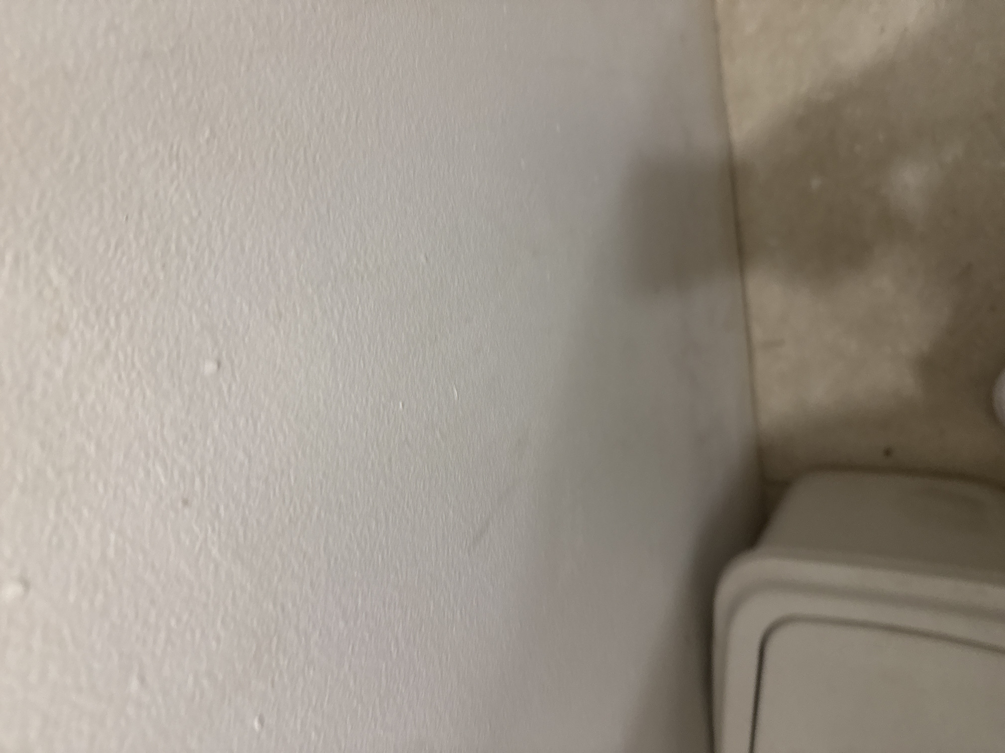 The image shows a close-up, angled view of a textured, off-white wall. The wall appears to be indoors, as evidenced by the corner and the presence of a light-colored object that resembles the lid of a trash can or a storage bin in the lower right portion of the frame. The lighting suggests an indoor setting, possibly with ambient light or a light source from the side, casting a shadow on the wall to the right. The texture of the wall is rough and uneven, with some small imperfections or bumps visible. In the background, the wall transitions to a different surface, possibly a tiled or textured panel, which is lighter in color and has some faint markings or shadows. There is no text visible in the image. The scene is static and does not depict any activity or people. The overall impression is one of a plain, functional indoor space, with the focus on the wall's texture and the corner where it meets another surface.
