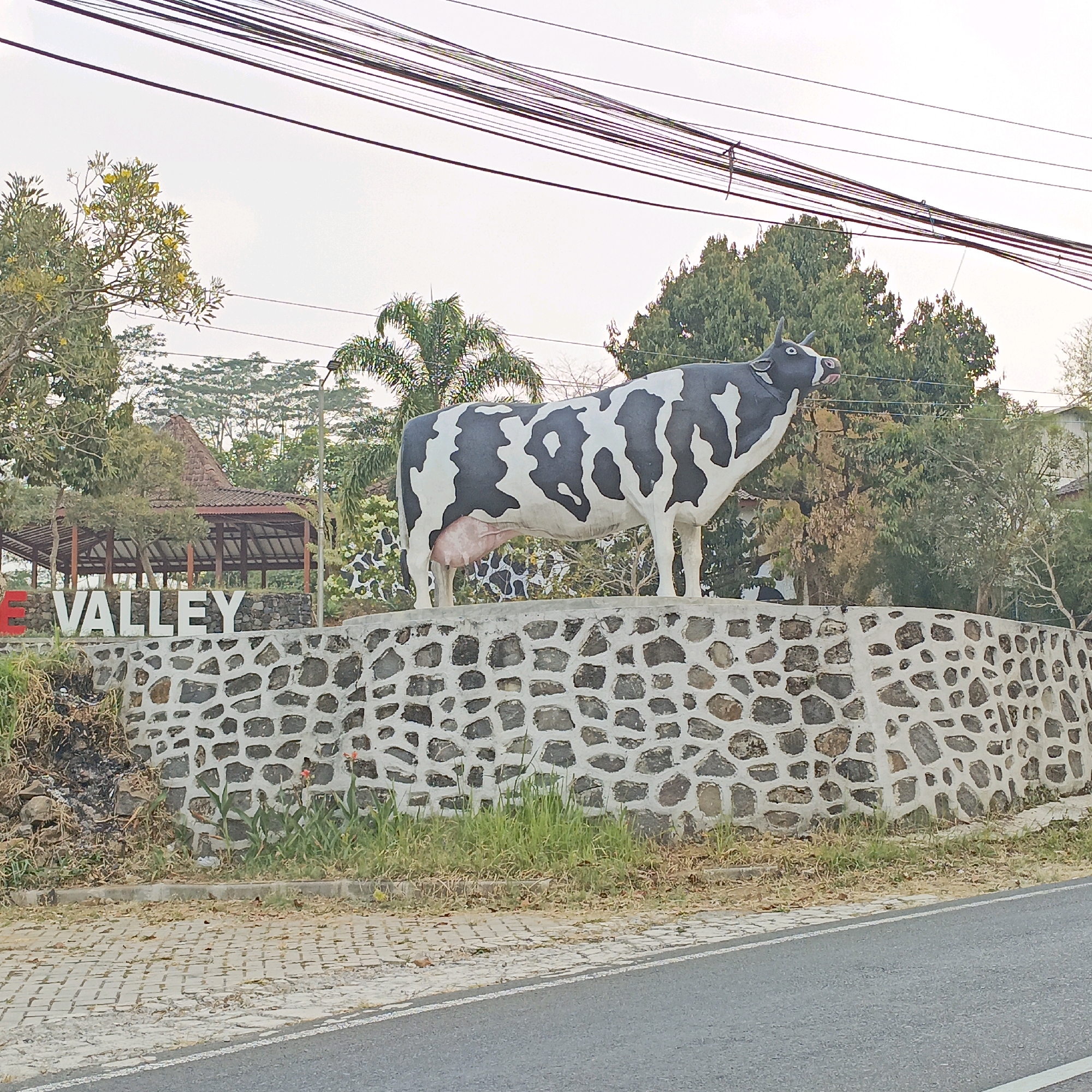 An outdoor, eye-level, full shot captures a black and white cow statue standing on a stone wall in Sumogawe, Indonesia. The statue is a prominent feature, positioned centrally in the frame, with its head turned slightly to the left and its tongue extended. Behind the statue, a building with a thatched roof and wooden supports is visible, along with lush green trees and palm trees. The cow statue is placed on a decorative stone wall made of irregularly shaped gray stones set in concrete. In front of the wall, a paved walkway with a grey asphalt road to its right is present. A sign with white block letters spelling "VALLEY" is partially visible to the left of the cow statue. The sky is overcast and appears light gray. Electrical wires are strung across the top of the image.