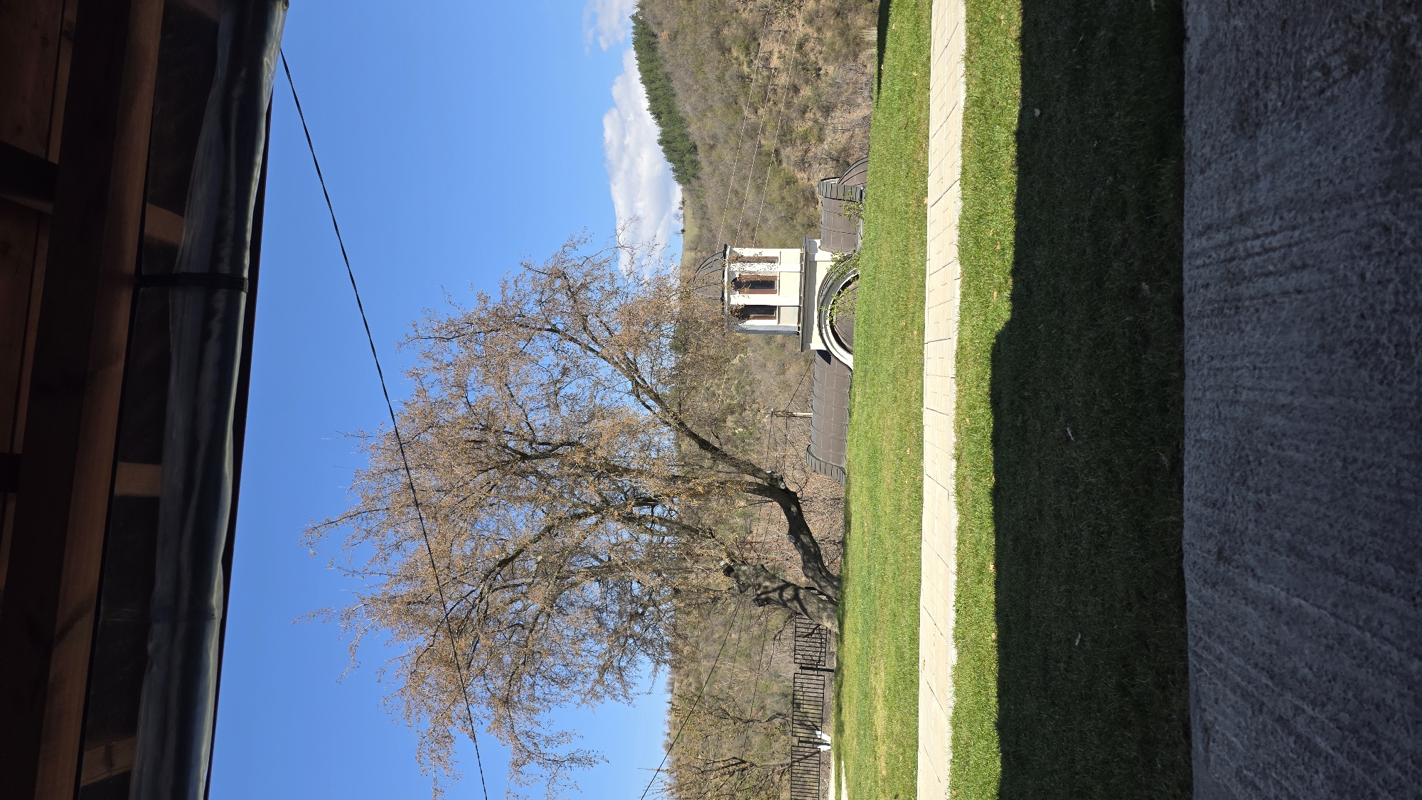 The image shows an exterior view of a building and surrounding landscape, likely taken in Elenovo, Bulgaria, based on the presence of buildings and landscape architecture typical of the area.
**Objects and Environment:**
* A tree with bare branches, prominent in the center-left of the frame.
* A building featuring a light-colored architectural structure with windows and roof, possibly a bell tower or decorative element of a larger complex.
* A grassy area with a paved walkway alongside it, creating a distinct edge within the landscape.
* A wooded hillside in the background provides a natural backdrop.
* Parts of a building's roof structure are visible on the left edge.
* A portion of a grey wall is on the right edge.
* Power lines are visible in the sky.
**Location Clues:**
* The architectural style and the landscape features suggest the location might be Elenovo, Bulgaria. The style of architecture is typical of monasteries, churches, and cultural sites in that region.
**Overall Scene:**
* The scene depicts a bright, sunny day, as indicated by the clear blue sky. The focus is on the architectural structure, with the tree providing a foreground element. The landscape suggests a semi-rural or historical site, possibly a monastery or historical building complex, as it is common in Elenovo.