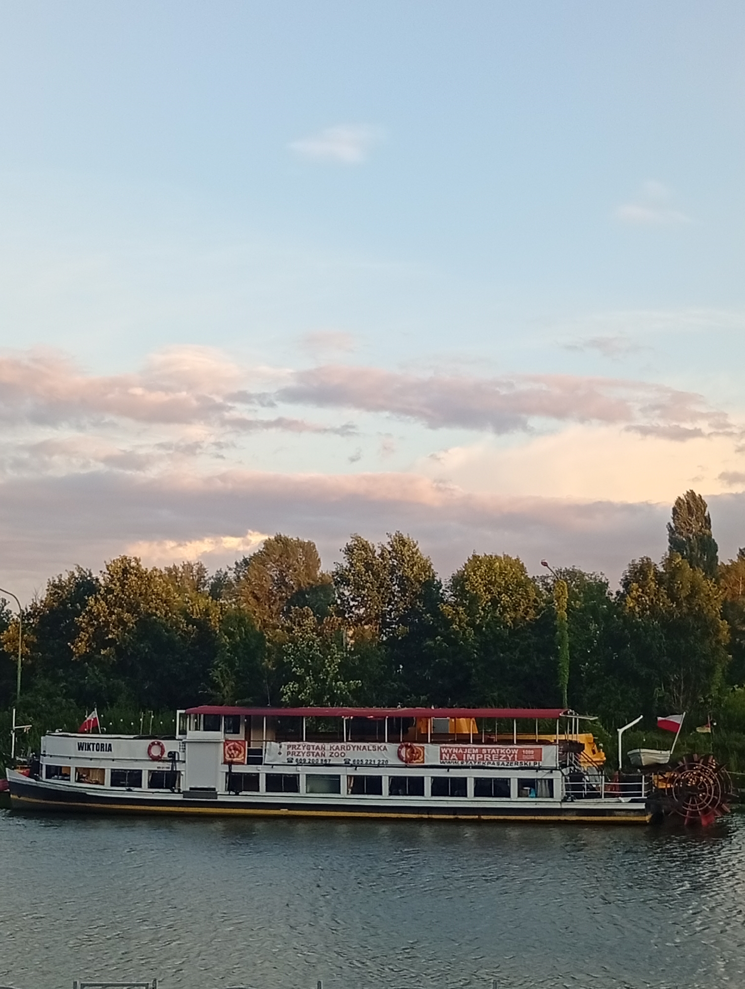 The image shows a side view of the steamboat "WIKTORIA" docked on the Oder River in Wrocław, Poland. The steamboat, a passenger vessel with a red awning and white hull, has the name "WIKTORIA" printed on its side. A sign on the side of the boat reads "PRZYSTAŃ KARDYNALSKA PRZYSTAŃ ZOO" and "WYNAJEM STATKOW NA IMPREZY". The boat is surrounded by lush green trees along the riverbank. The sky is a light blue with scattered pink and white clouds, suggesting it is either early morning or late afternoon. A paddlewheel is visible at the stern of the boat, partially submerged in the water. The water is calm and reflects the sky and trees.