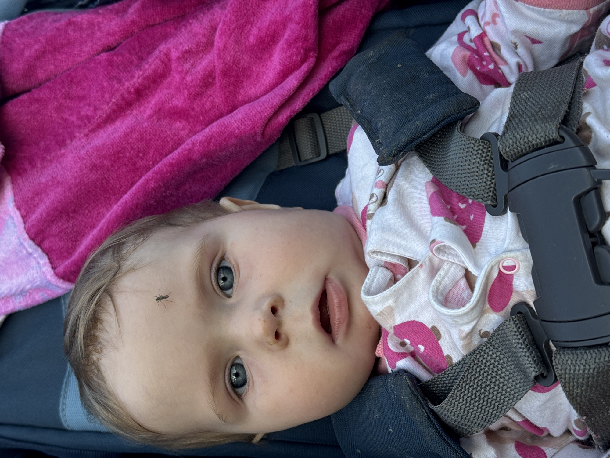 A baby lies on a dark blue surface secured by dark gray straps, dressed in a white onesie adorned with pink designs. A bright pink towel is to the baby's left. A small insect rests on the baby's forehead. There is no indication that this image was taken in the city of Rusalevka, Russia.