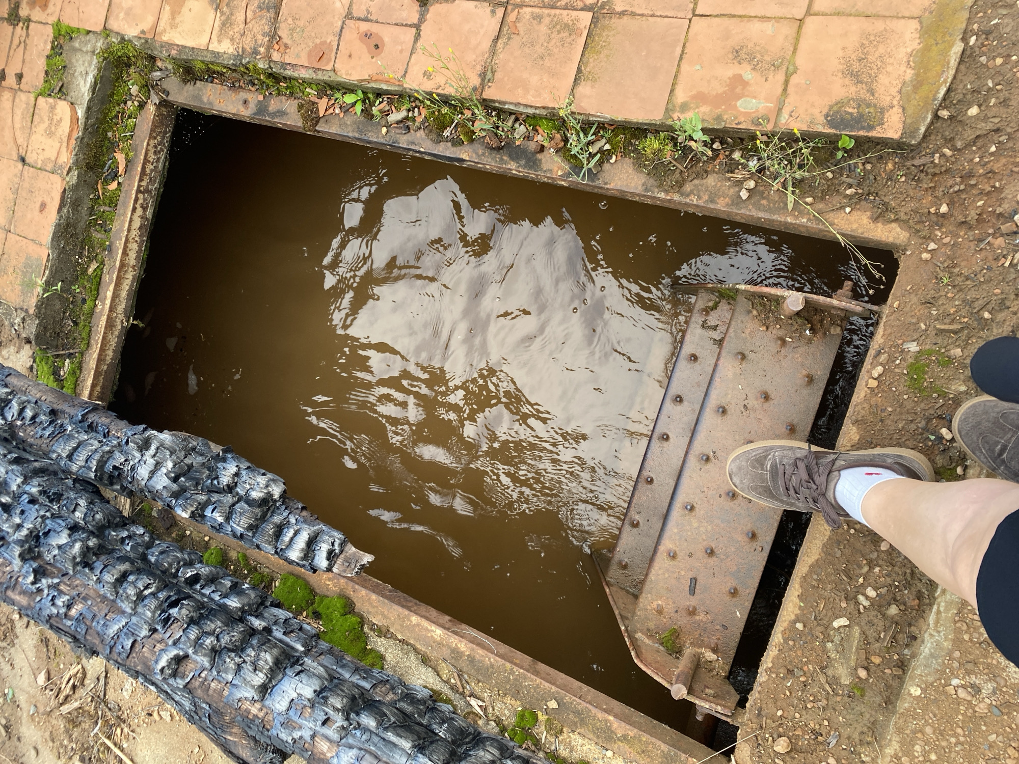 The image depicts a scene at a man-made water structure with a metal grate and a rusty metal staircase leading into murky brown water. Two charred logs, with exposed wood grain and patches of green moss, lie on the left side of the structure, resting against a metal beam. The surrounding area is a mix of dirt, gravel, and terracotta-colored tiles. A person's legs and feet, wearing brown sneakers and white socks, are visible in the lower left of the frame, suggesting they are standing on the edge of the structure or the staircase. There are no other people or animals in the frame. The overall impression is one of an outdoor, possibly industrial or abandoned, location. The prompt requests the location be specified as Noviy, Russia.